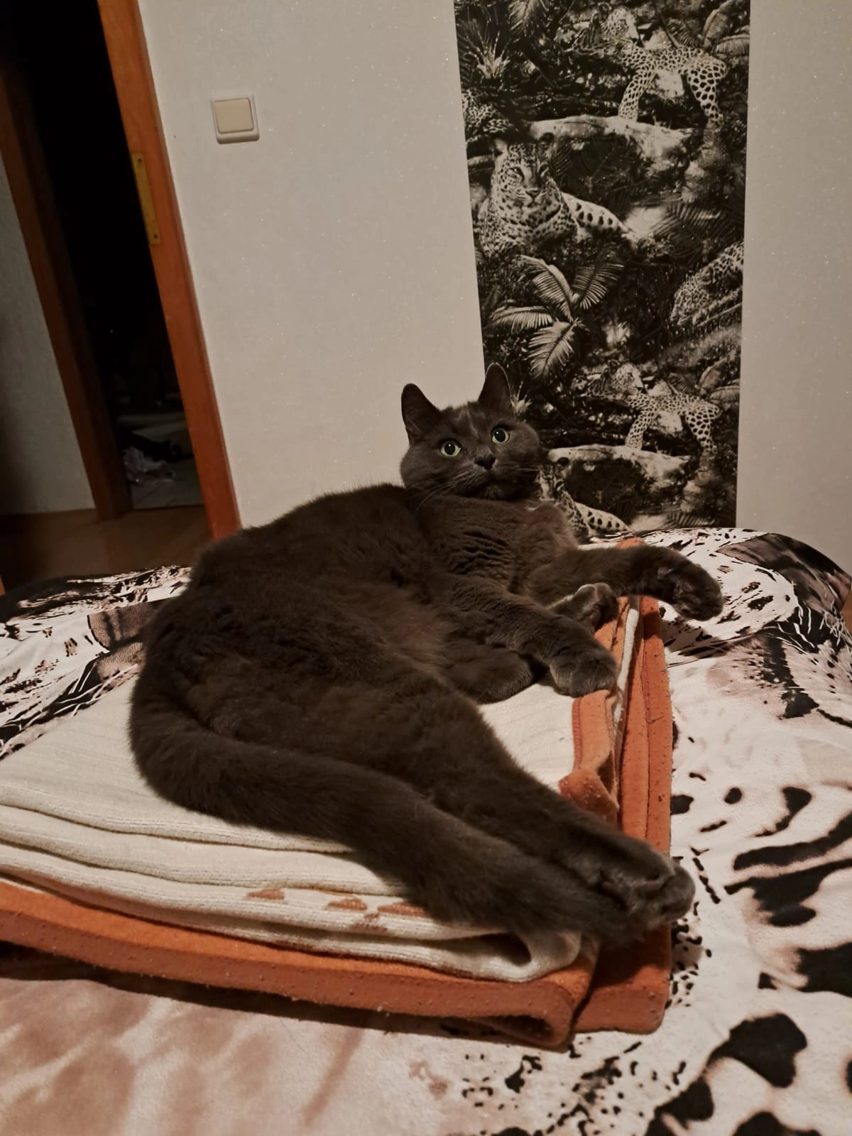 Smoky - Heidenmauer, Bad Kreuznach