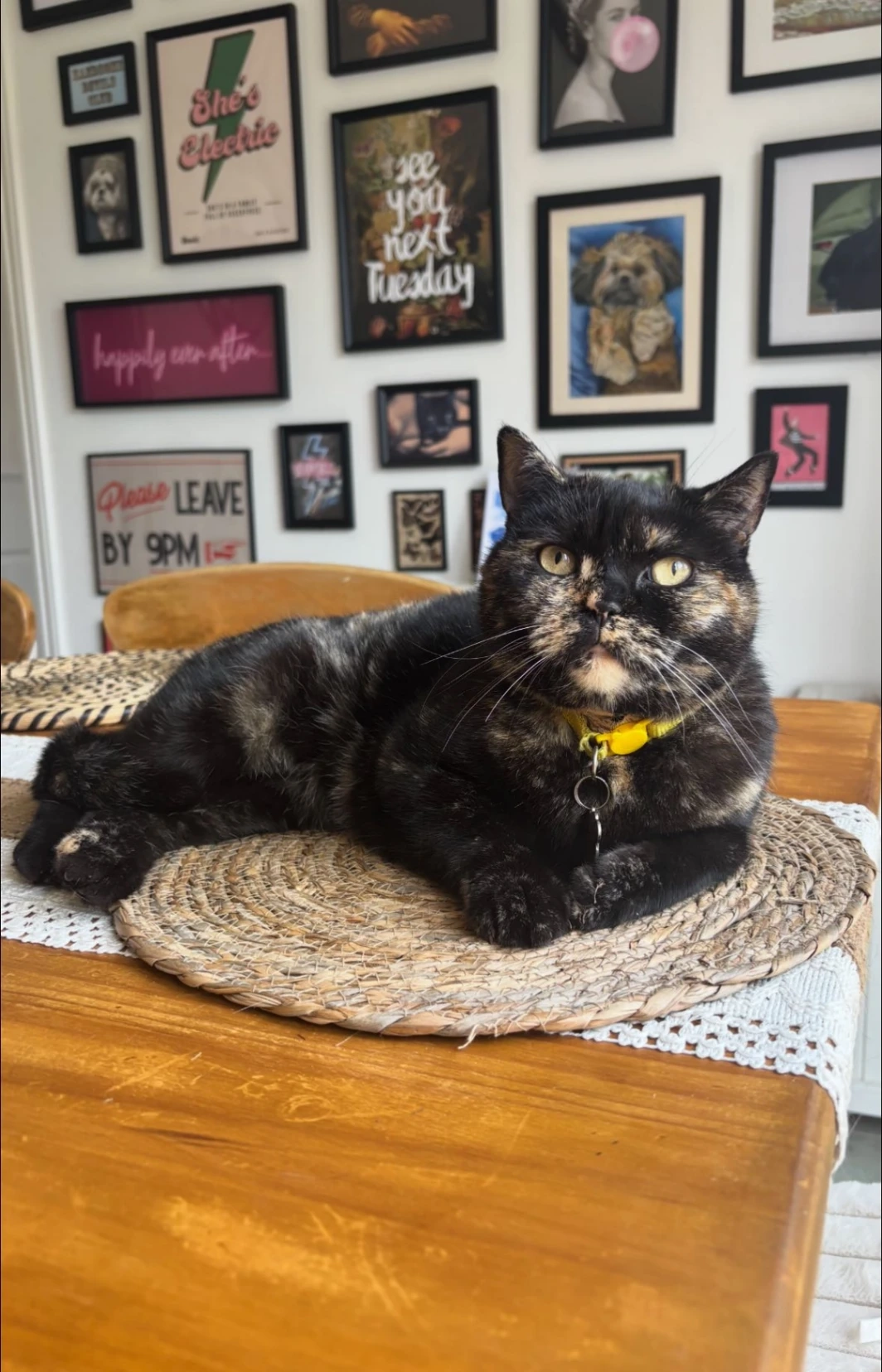 Mavis - Juno Close, Worcester