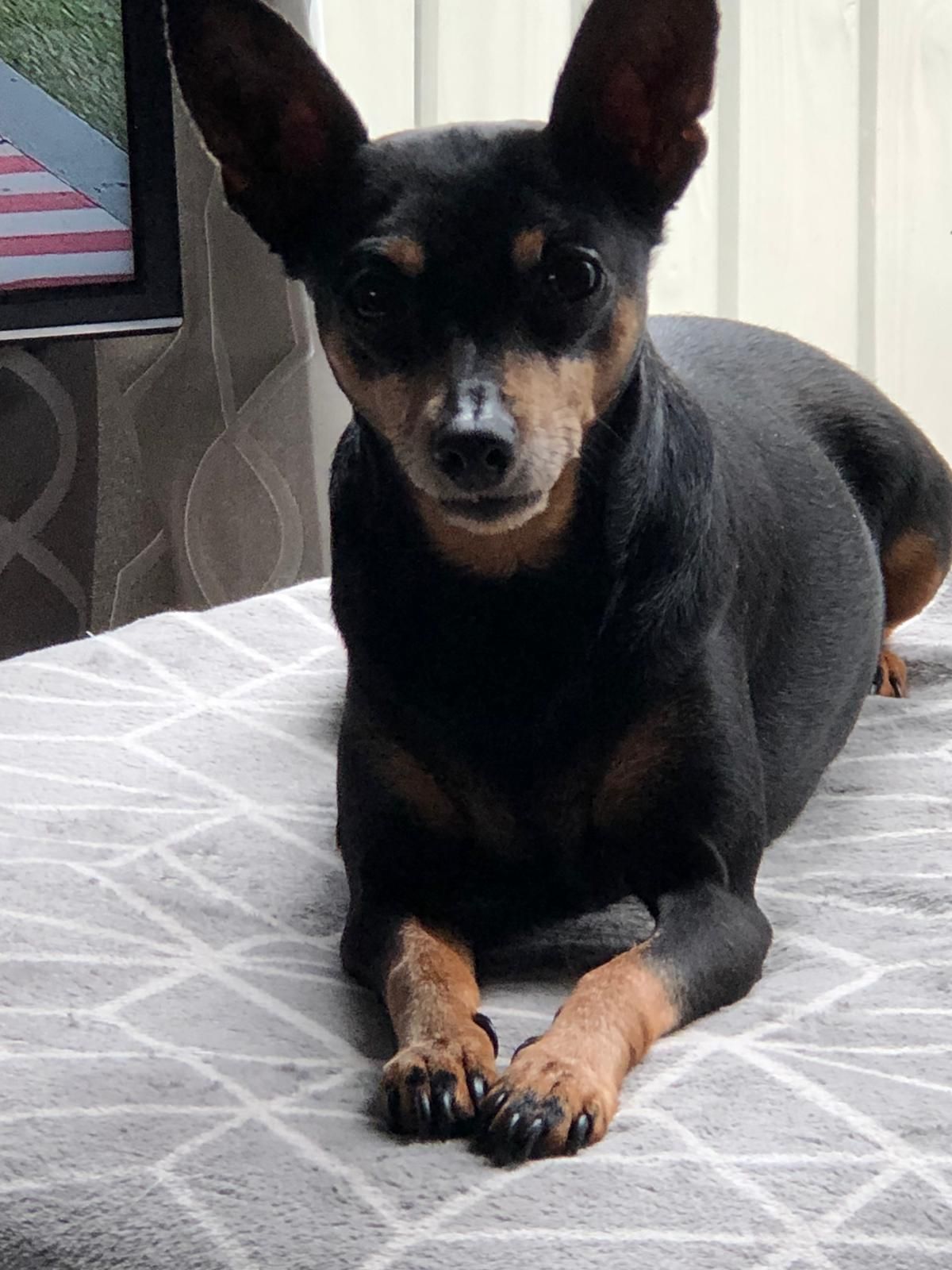 Wilma - Parthenon Drive, Liverpool