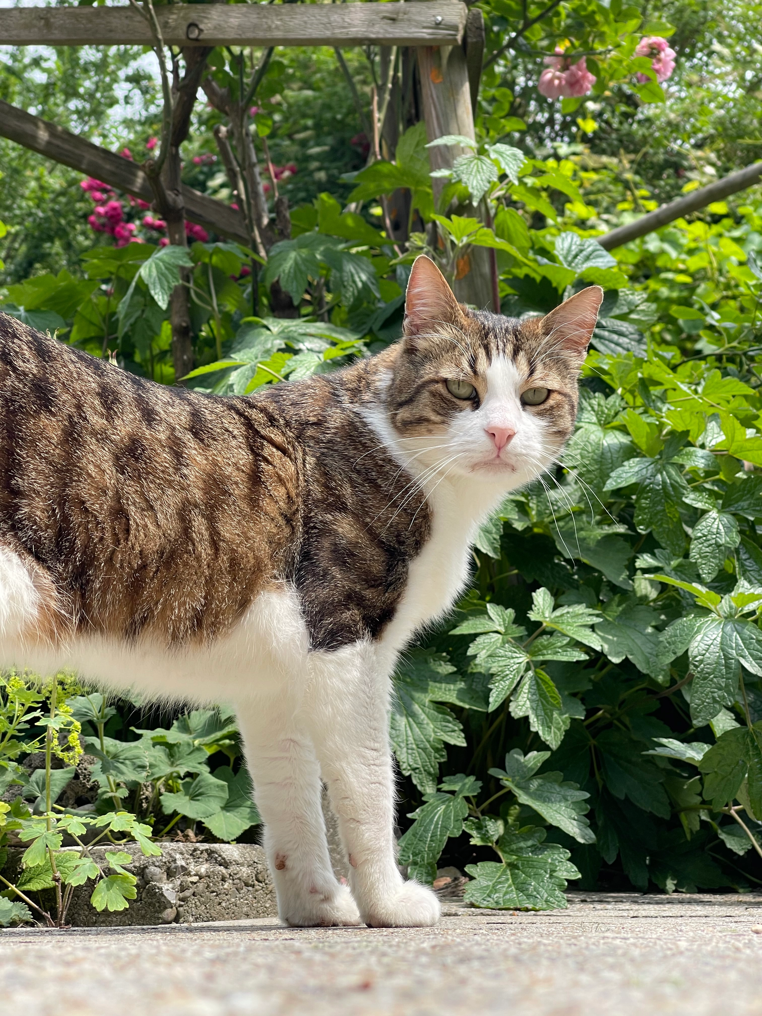 Buzz  - Aulberstraße, Reutlingen