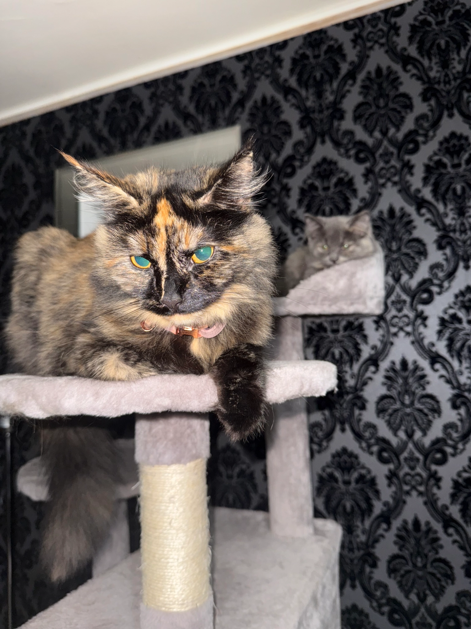 Secret - Moorfields, Harlow