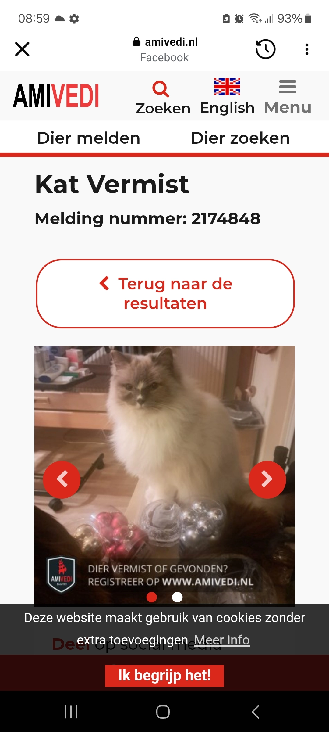 Lizzy  - Moeflonstraat, Almere