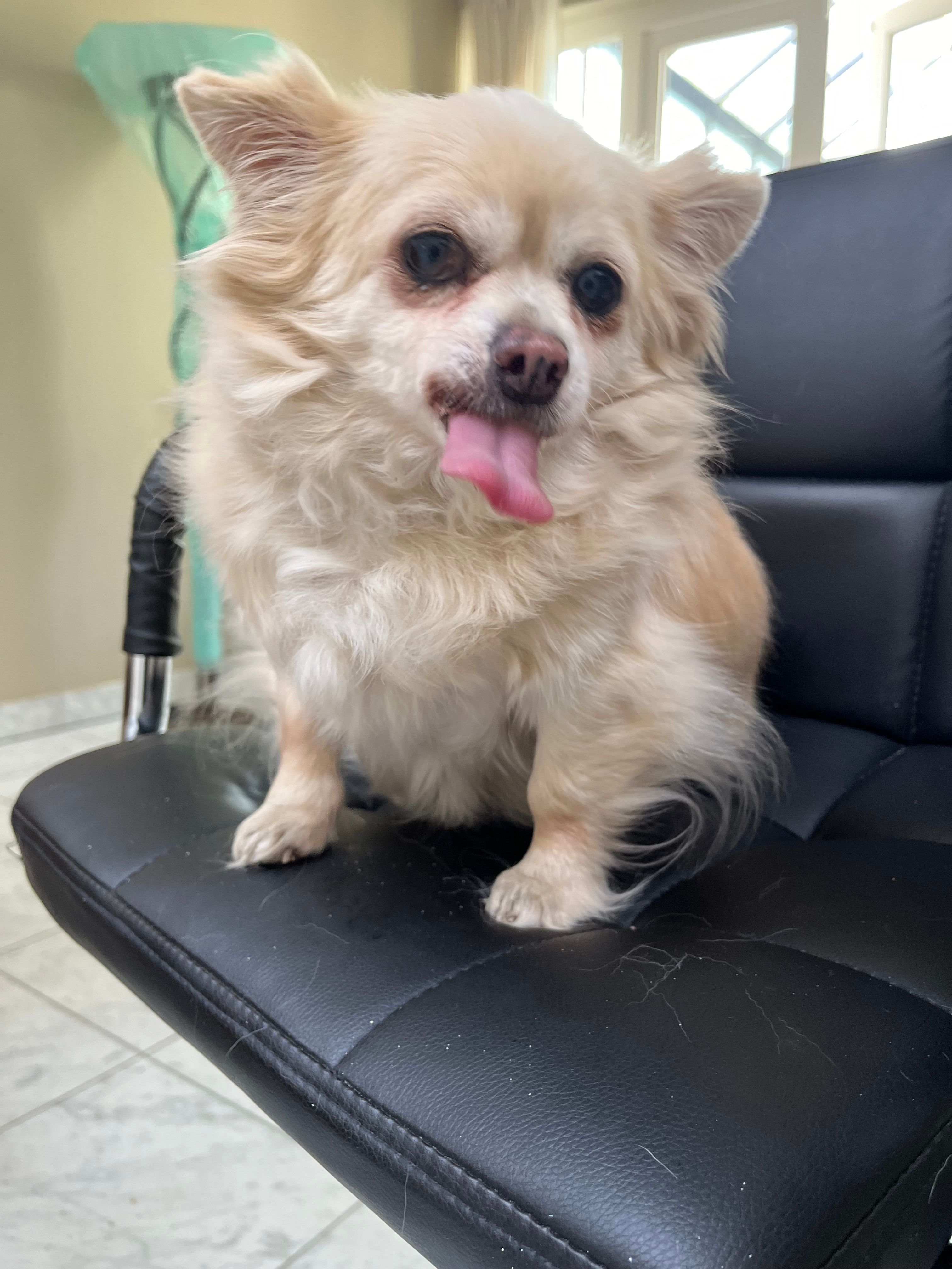 Pieke - Emmalaan, Valkenburg