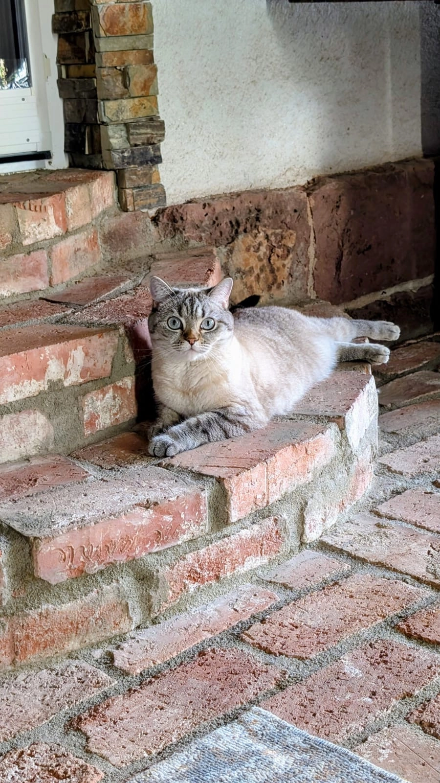 Molly - 97688, Bad Kissingen