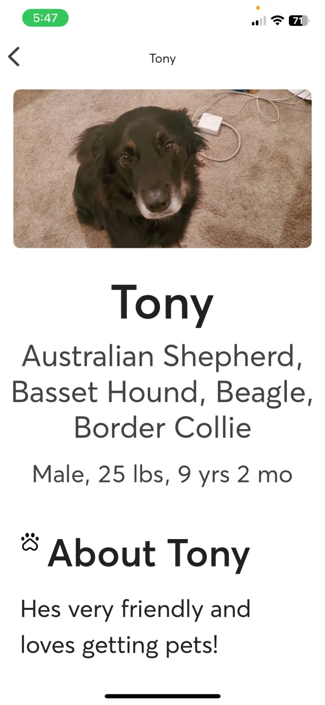 Tony - 1039 W Tabor Rd, Philadelphia