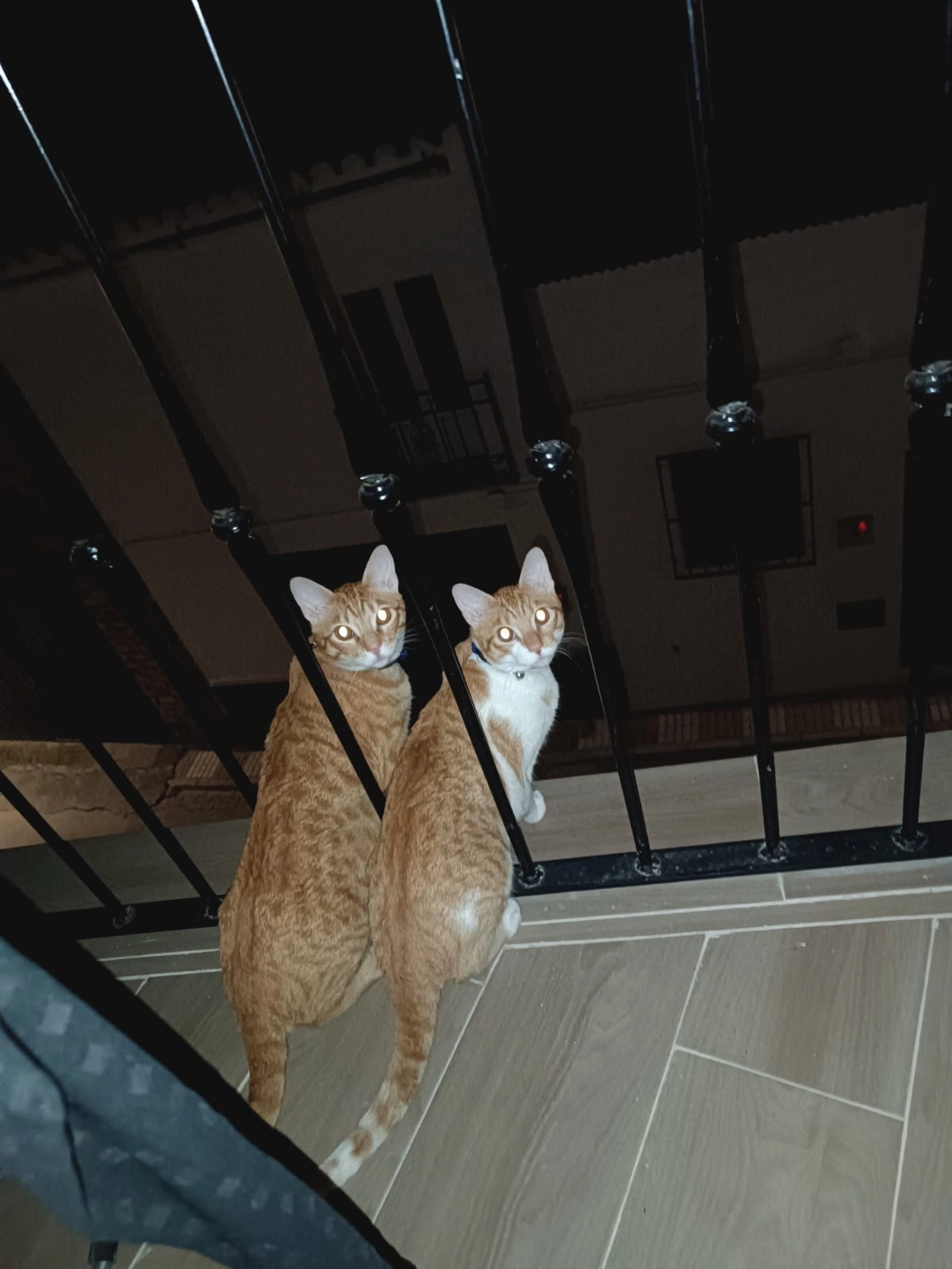 ORUS  - Calle Arroyo, Algámitas