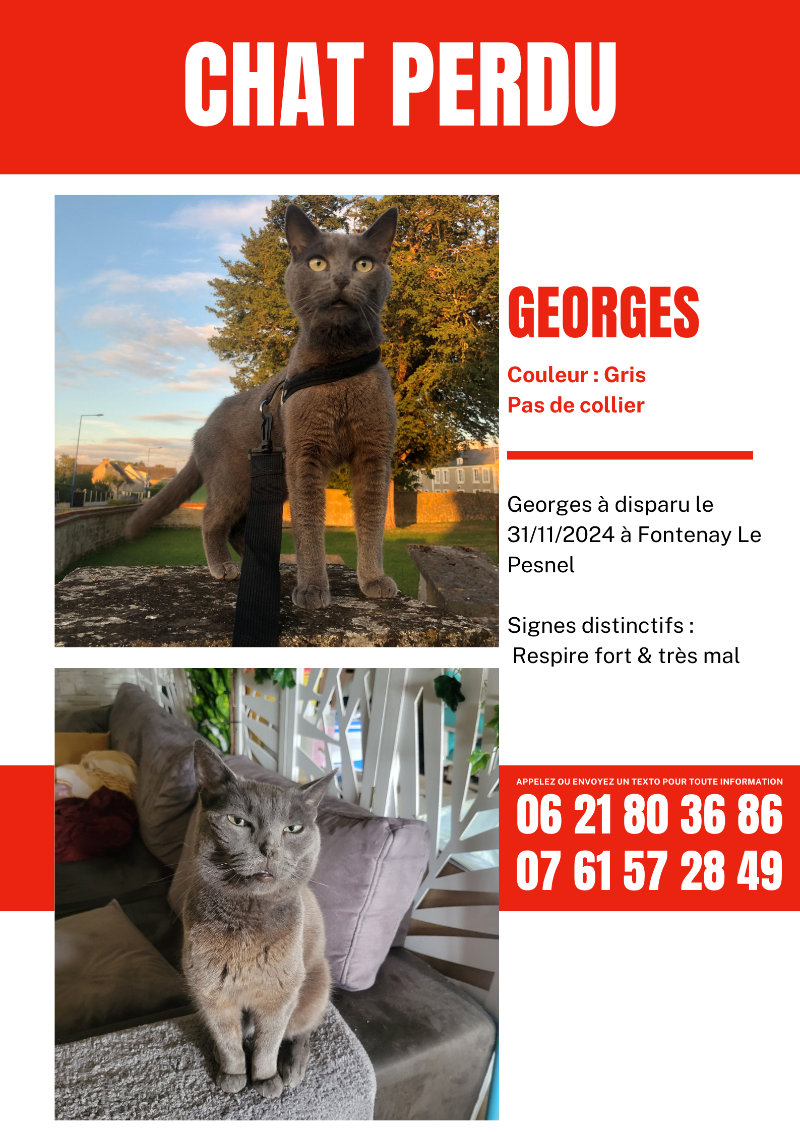 George - 10 Rue Saint-Martin, Fontenay-le-Pesnel