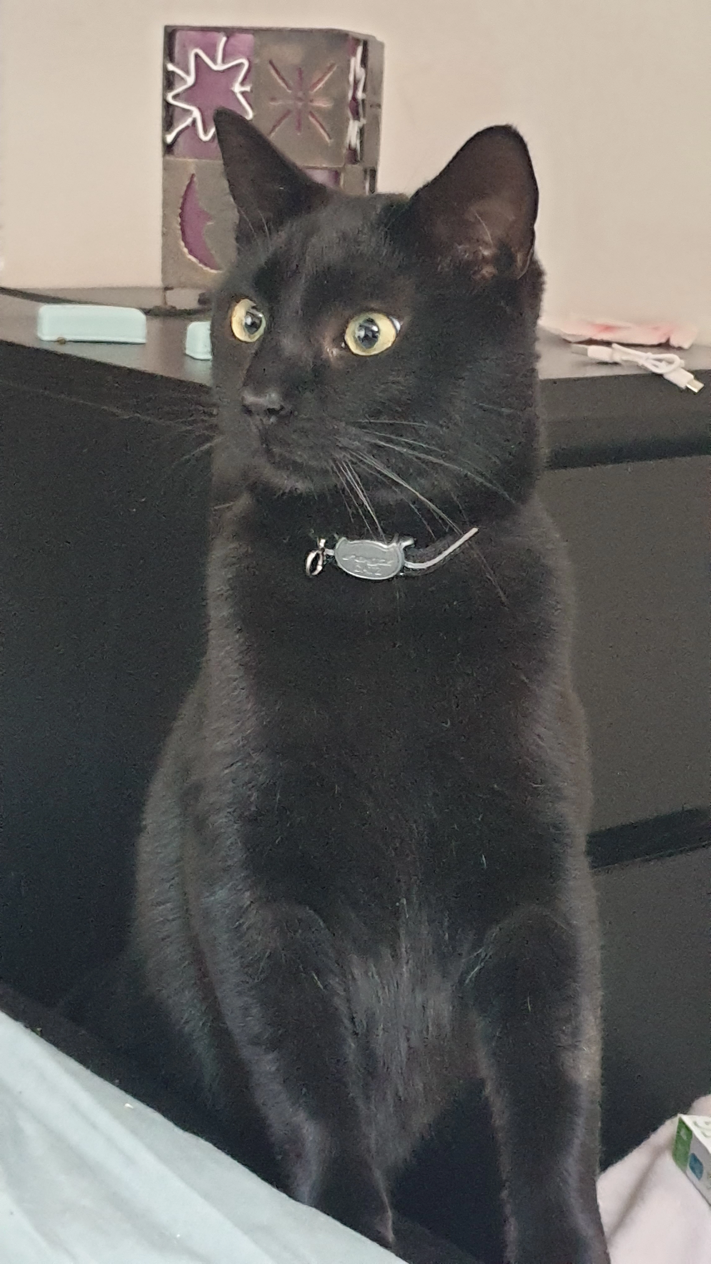 MERLIN - Rue de Vanières, Saint-Nazaire-de-Ladarez