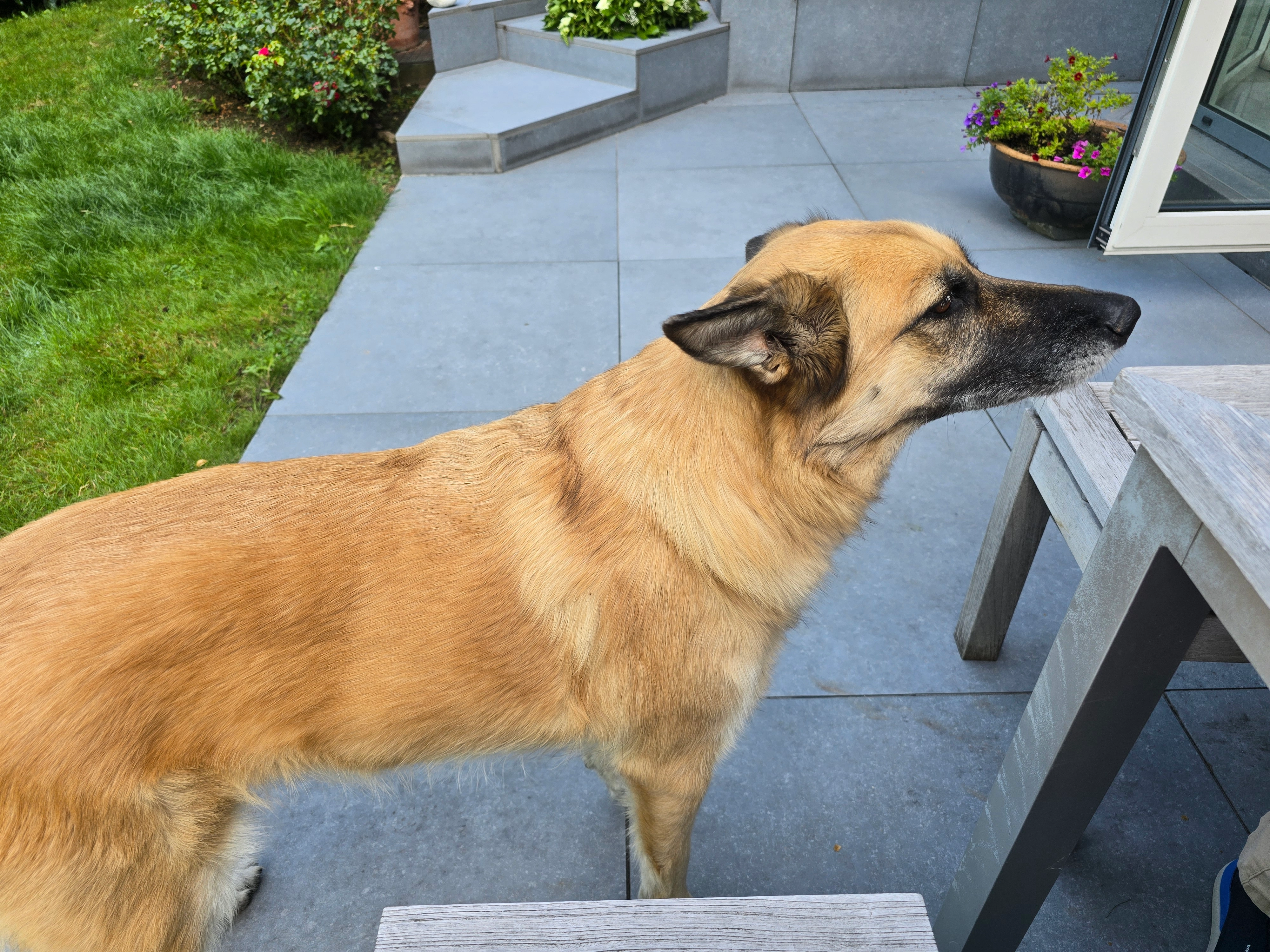 Kaly  - Vorstsesteenweg, Ruysbroeck