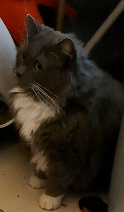 Thomthom - Rue Joseph Deflandre, Chaudfontaine