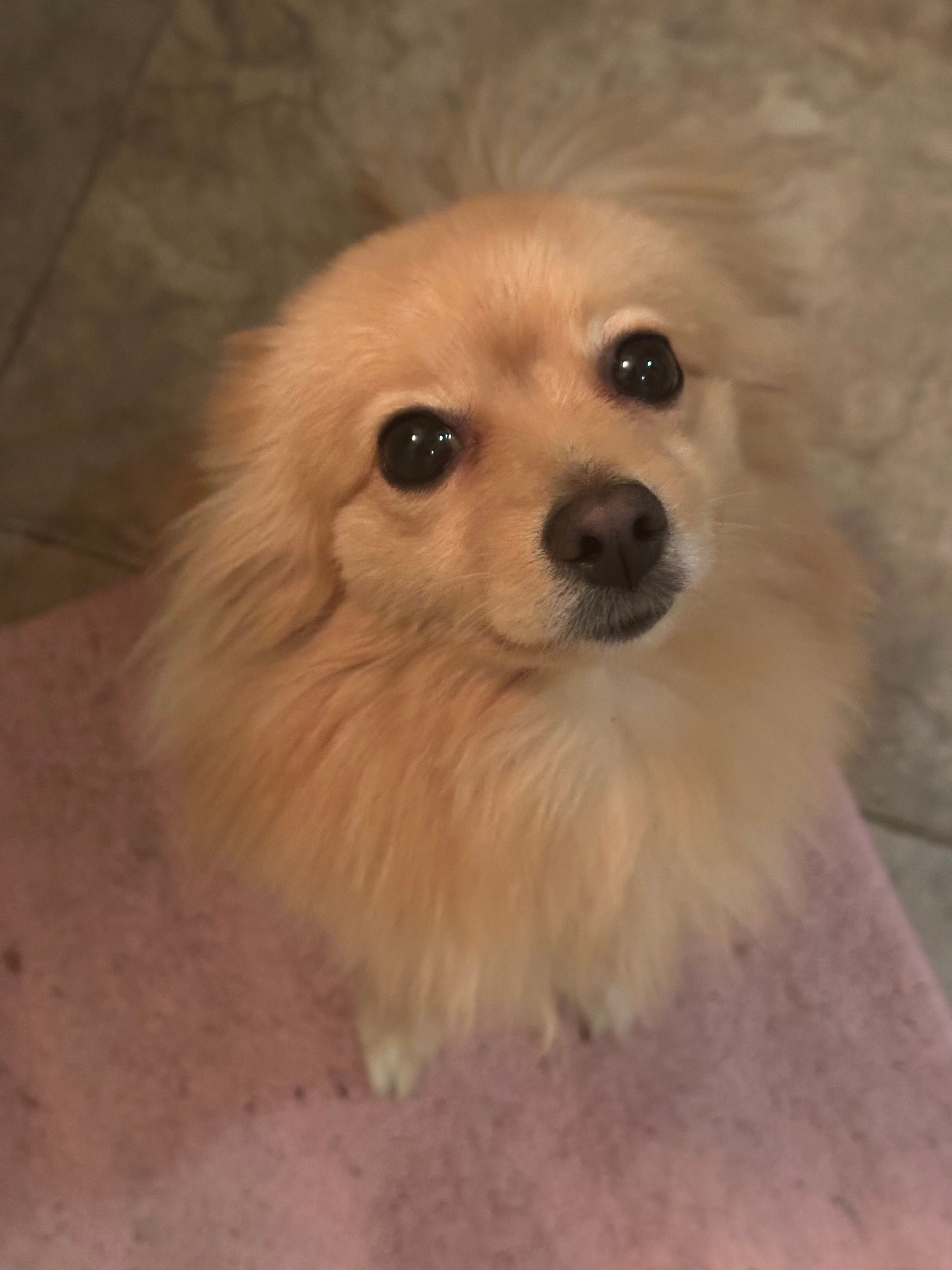 Sachi - Victoria Street, Dublin