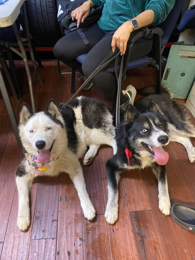 Tyson and Mia  - 3512 E 3rd St, Los Angeles