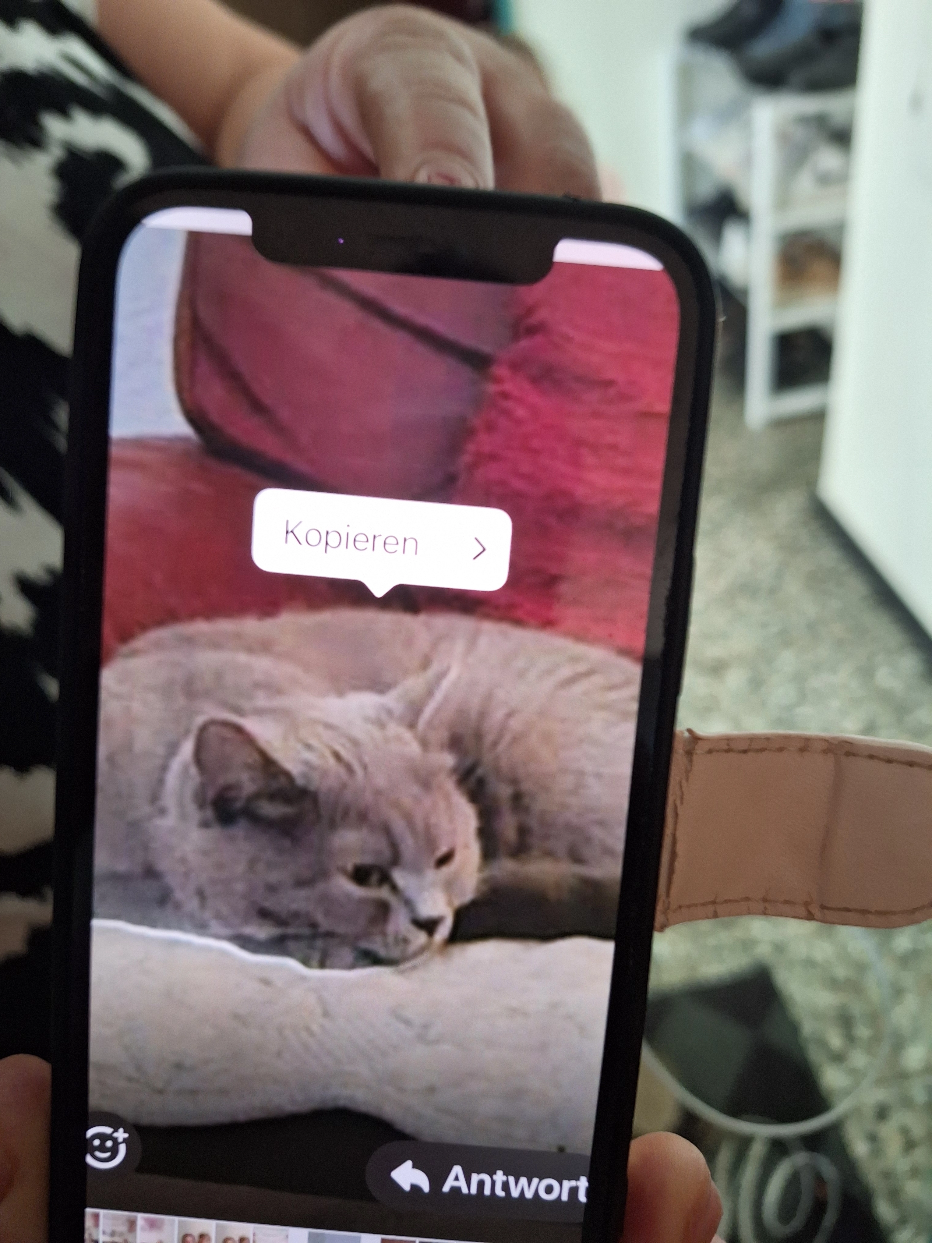 Luna - Künterstrasse, Stetten