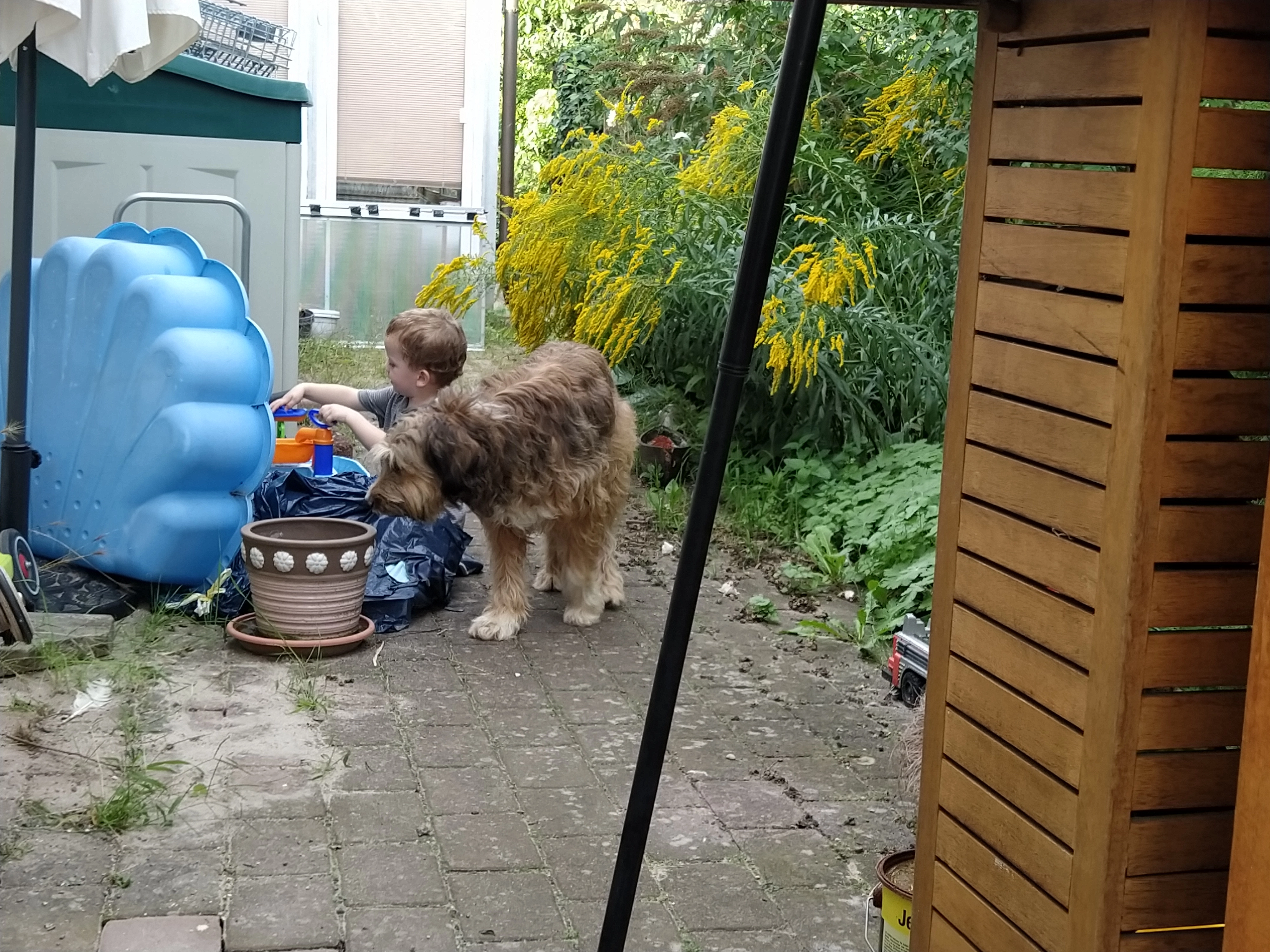 Laika - Hohlweg, Walluf