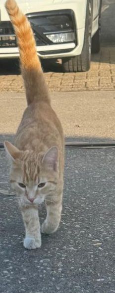 Axx - Mladoboleslavská, Mělník