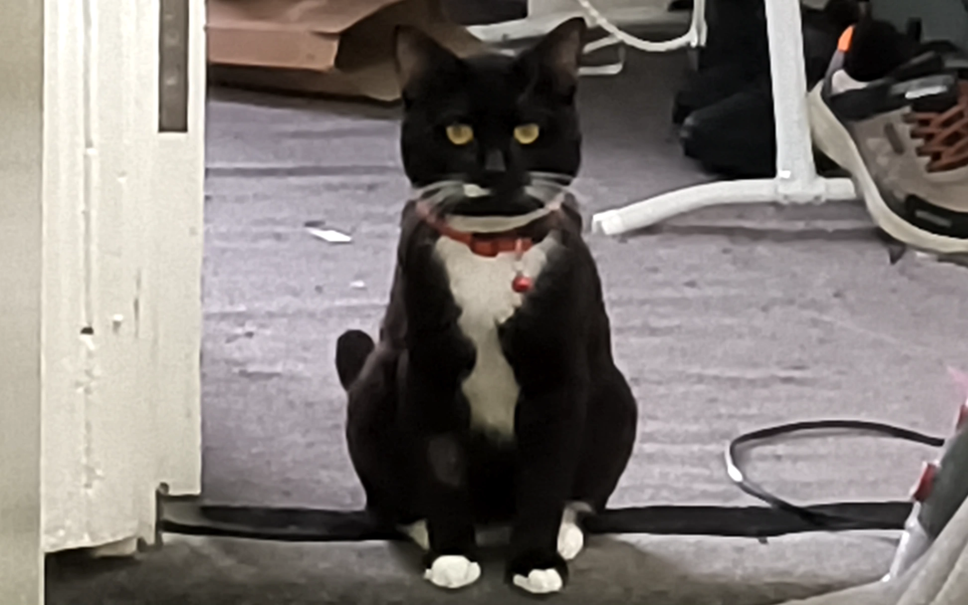 Huggu - Ellercroft Road, Bradford