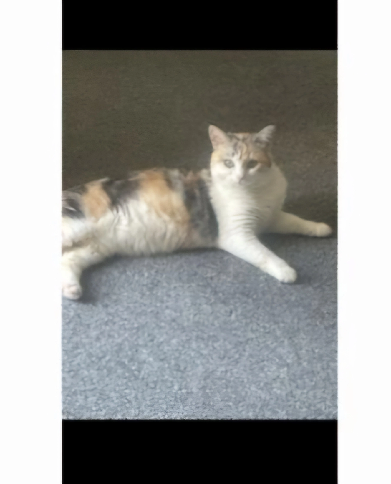 Penny - Picken Street, Kilmarnock