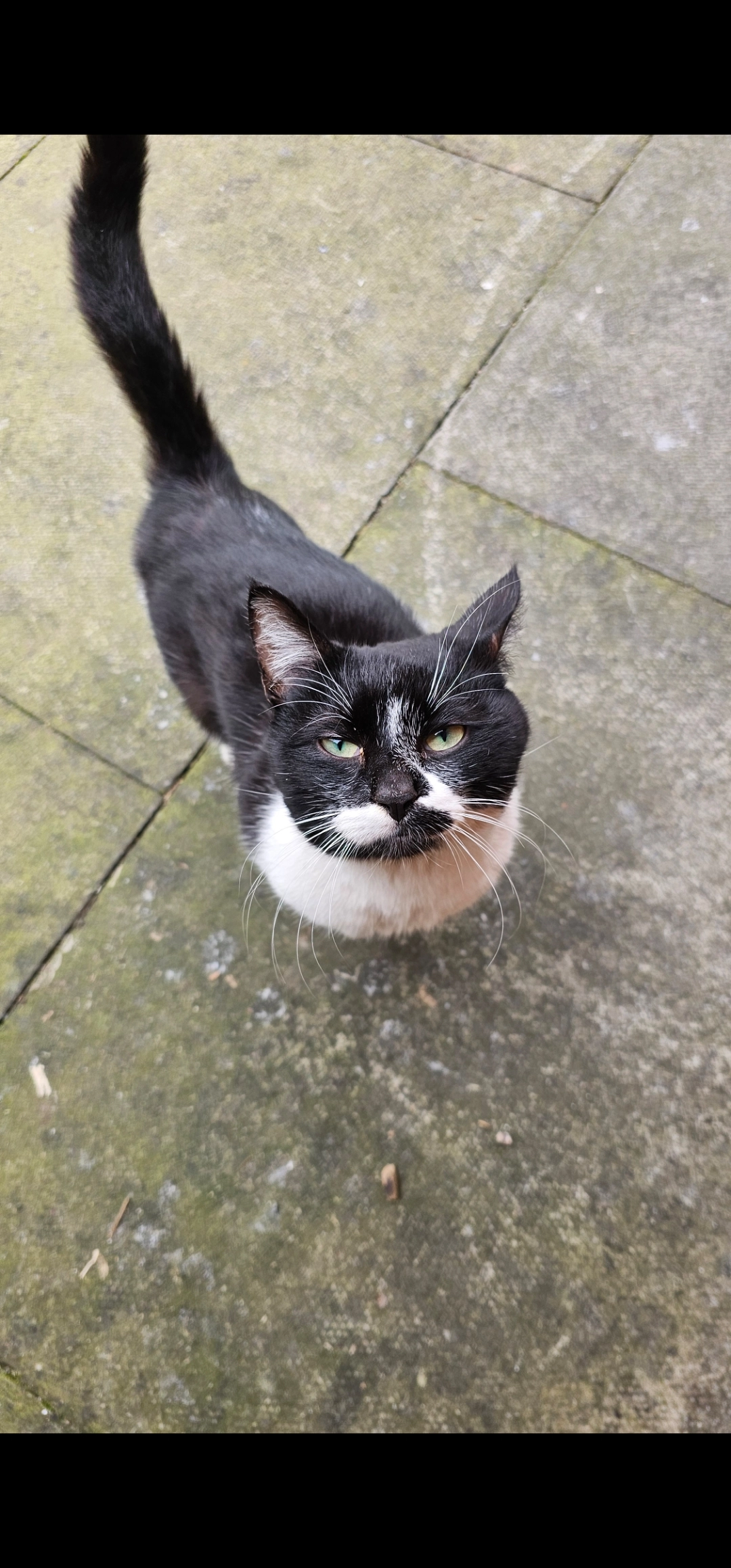 Beagal - Bradgate Street, Leicester