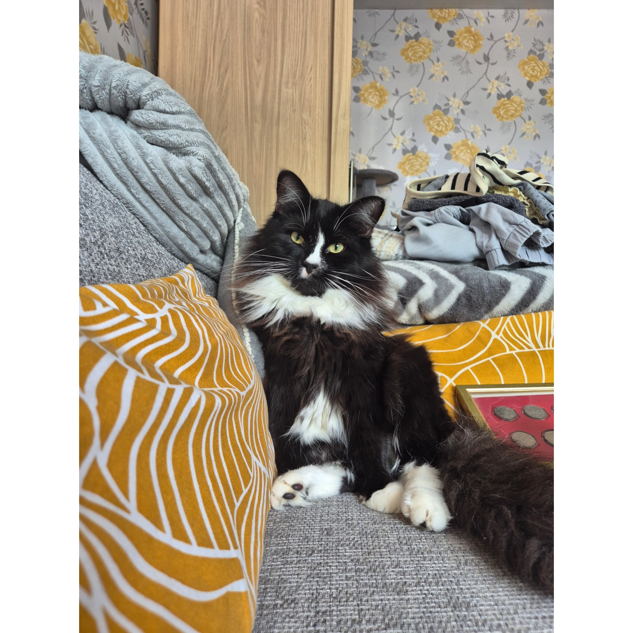 Buster Macey - Halcombe, Chard