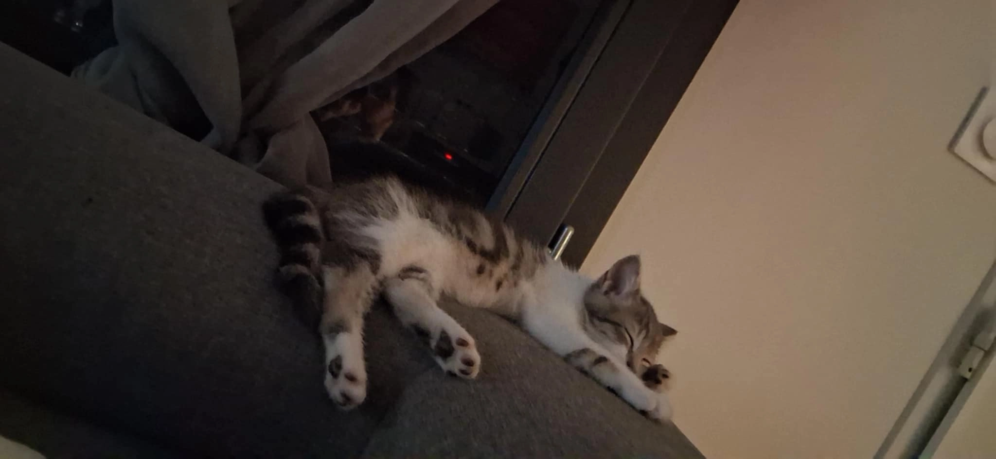 Alper - 28 Rue Jean Monnet, Clermont-Ferrand