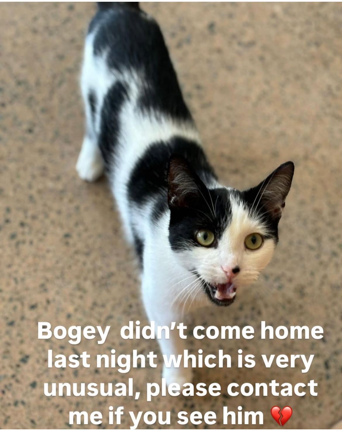 Bogey - Littlebridge Road, Northern Ireland