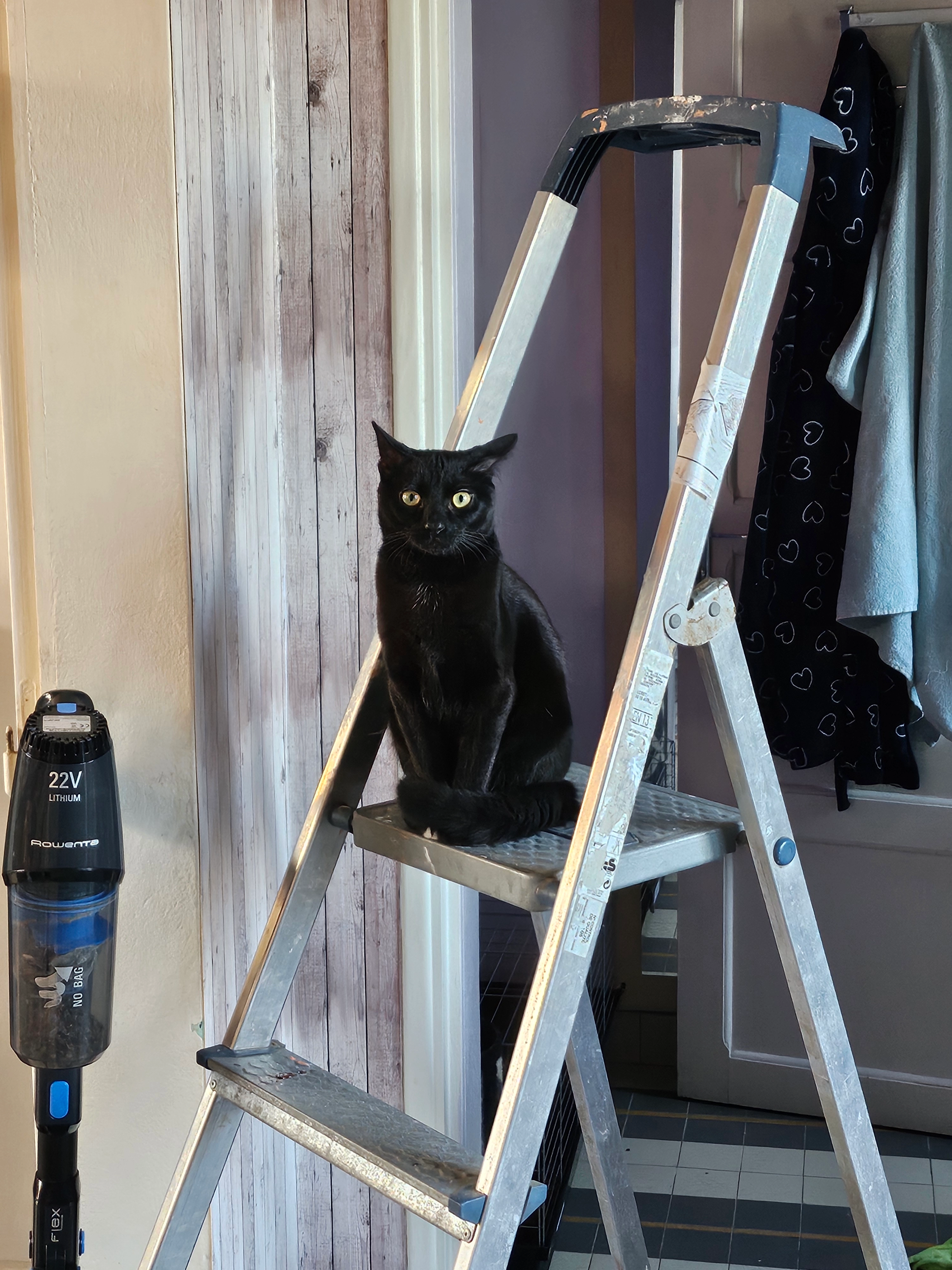 Cachou - Rue Du Port, Beauvoir-sur-Mer