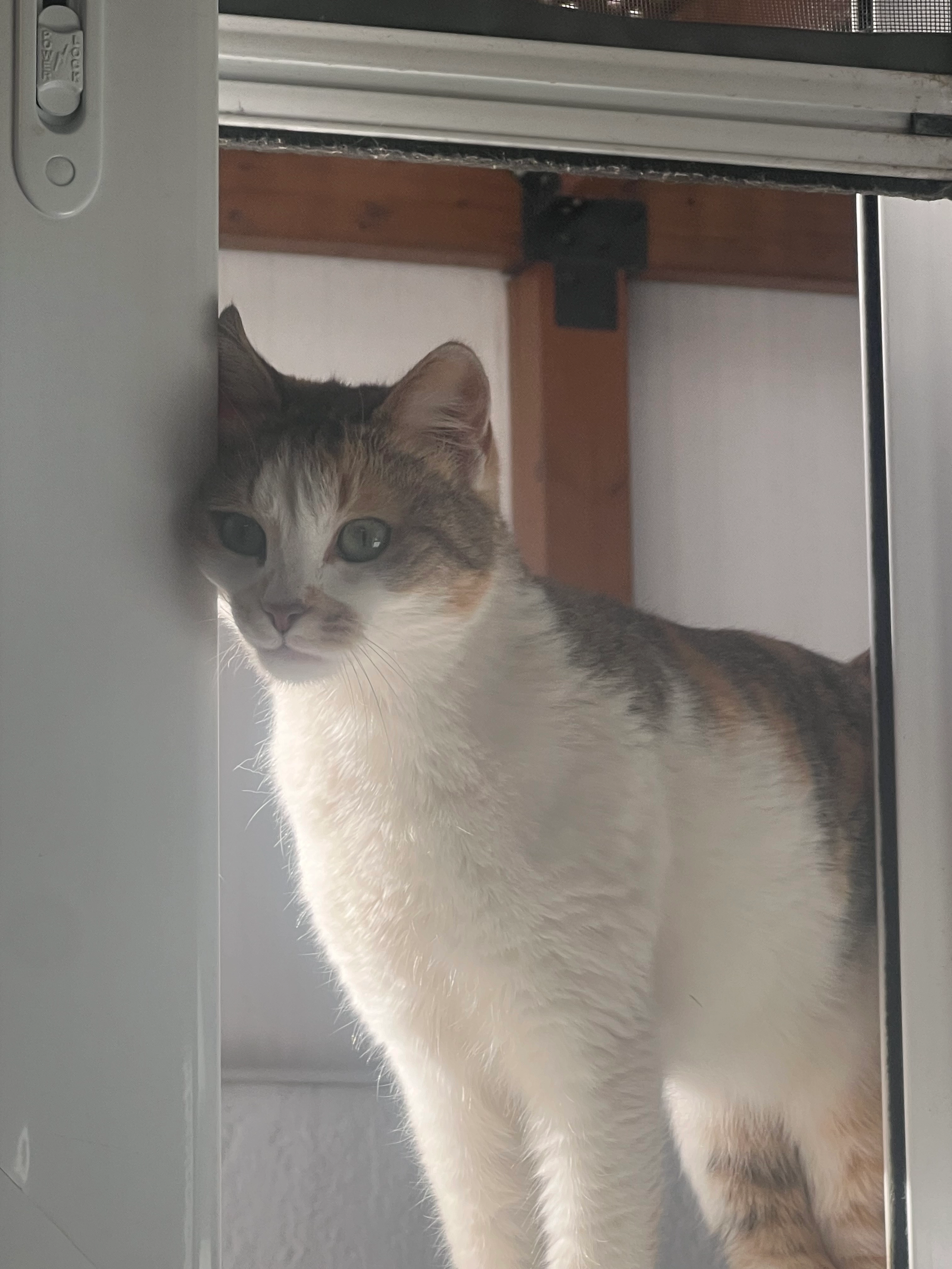 Bruta - Potamou 8, Kifisia