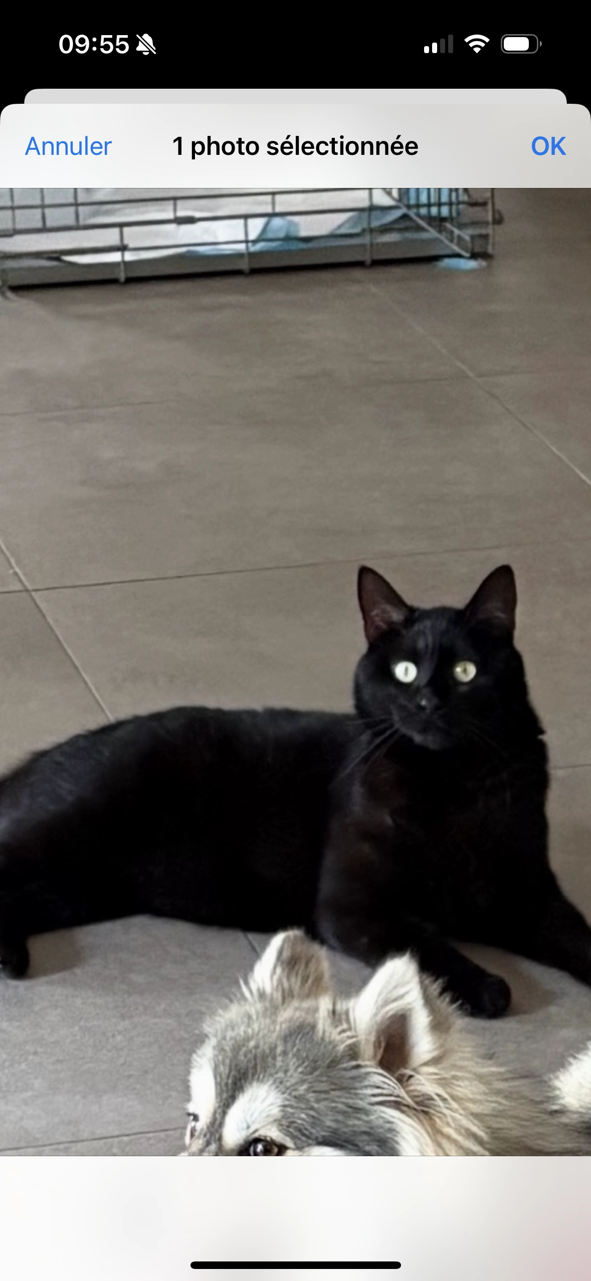 Krokmou - Rue de la Poterie, Saint-Contest