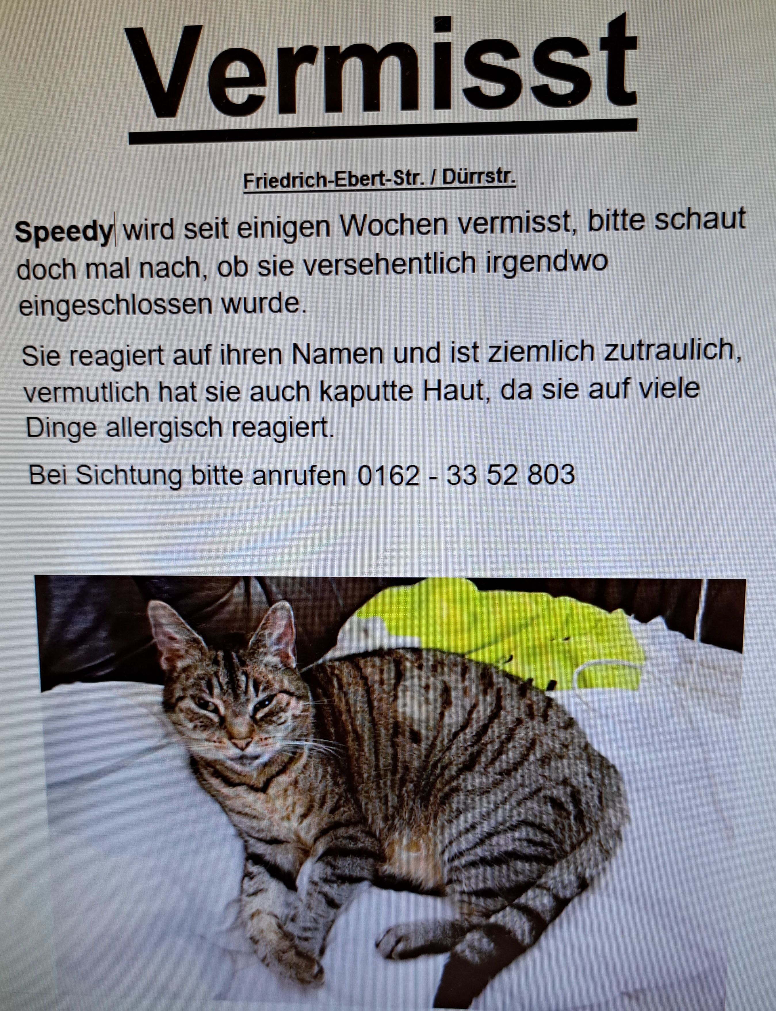 Speedy - Eckenerweg 2, Itzehoe