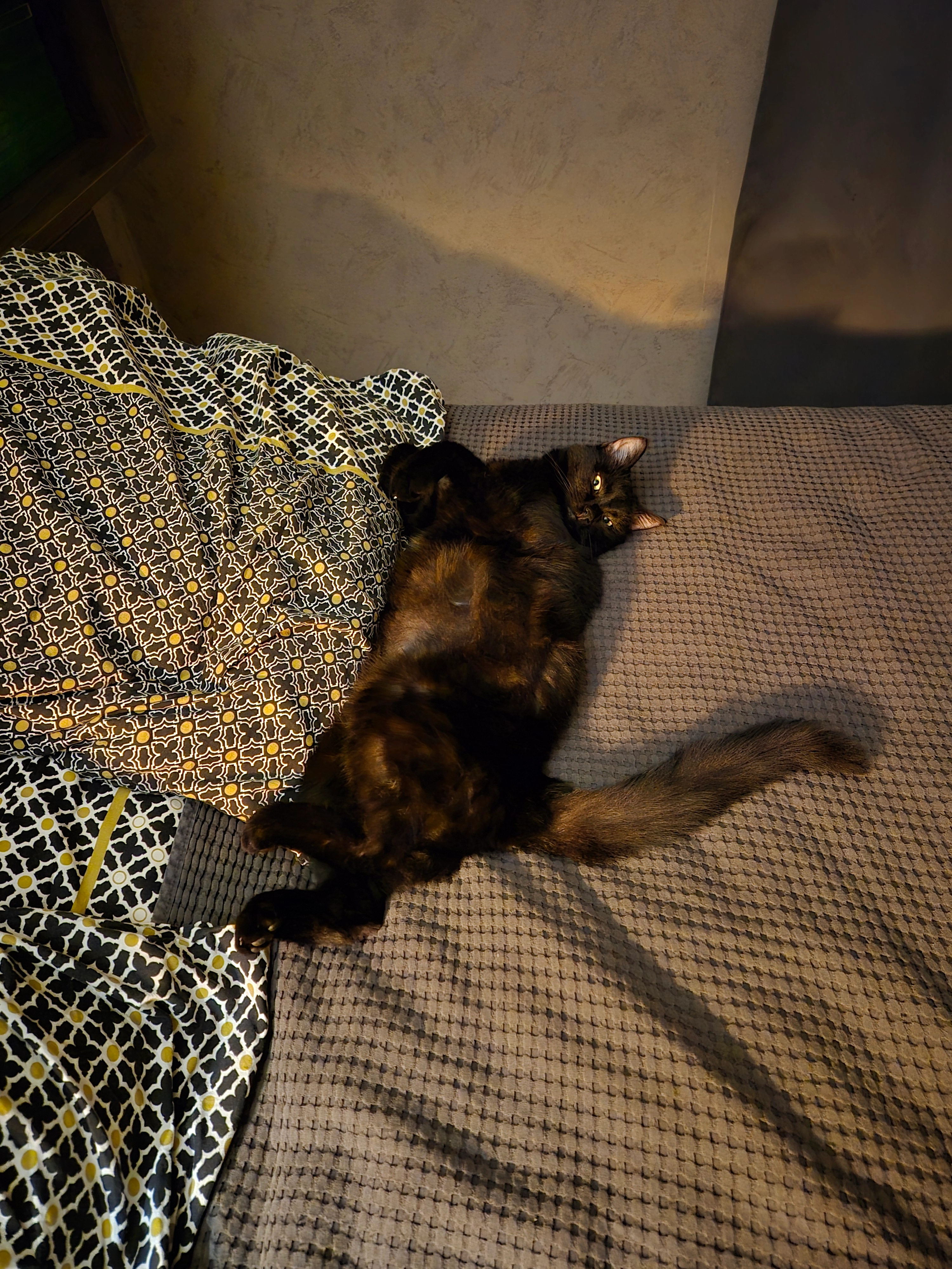 Vera - Grand Rue 28 Piedmont , Mont-Saint-Martin