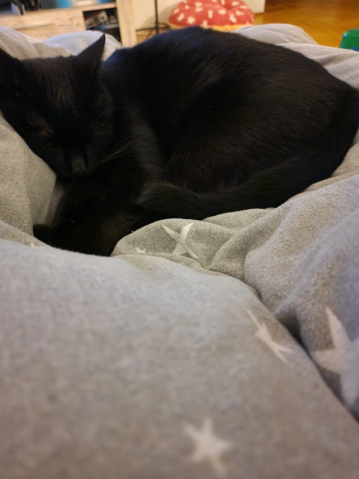 Lilly - Mühlgasse, Leingarten