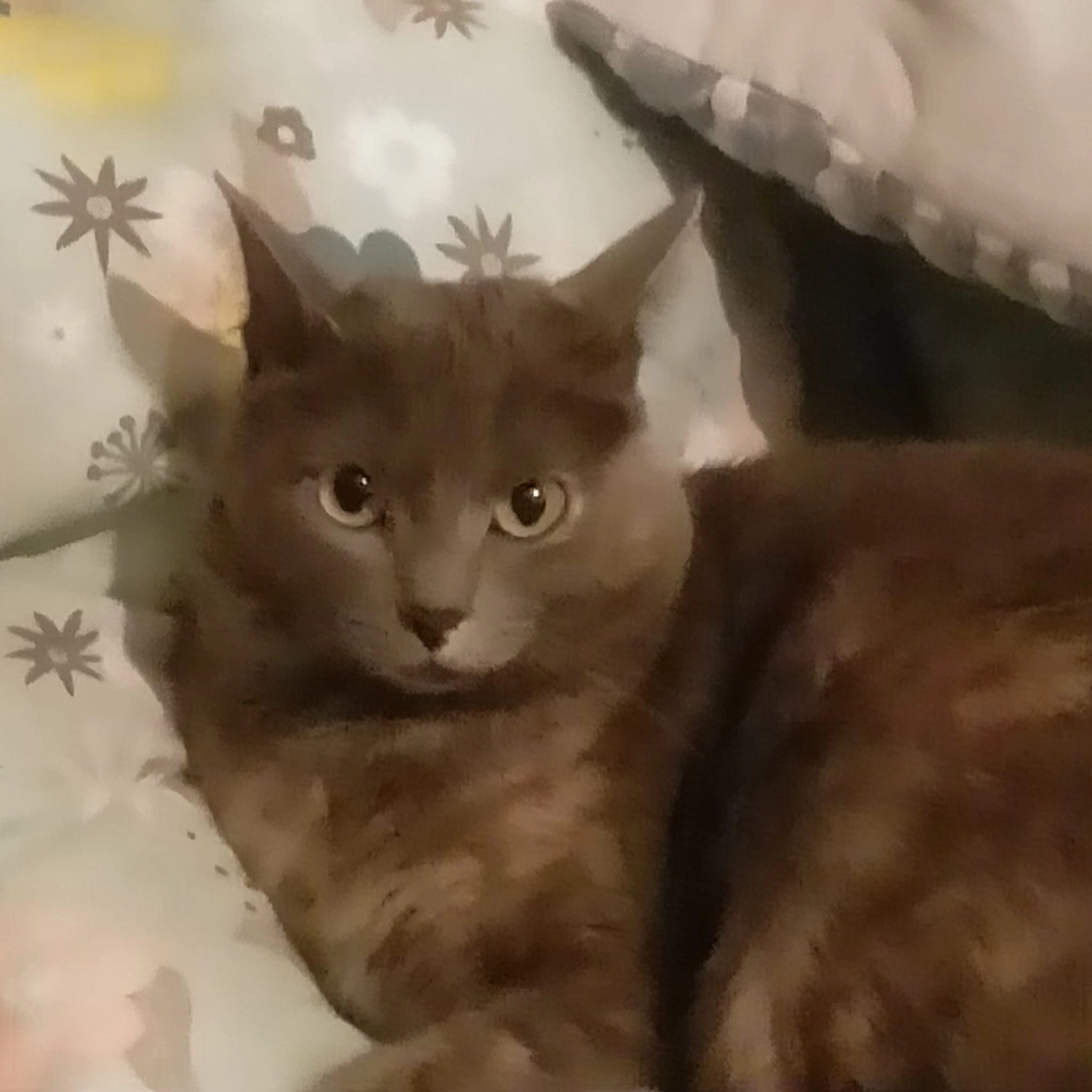 Bichette  - Rue Tourtain, La Côte-Saint-André