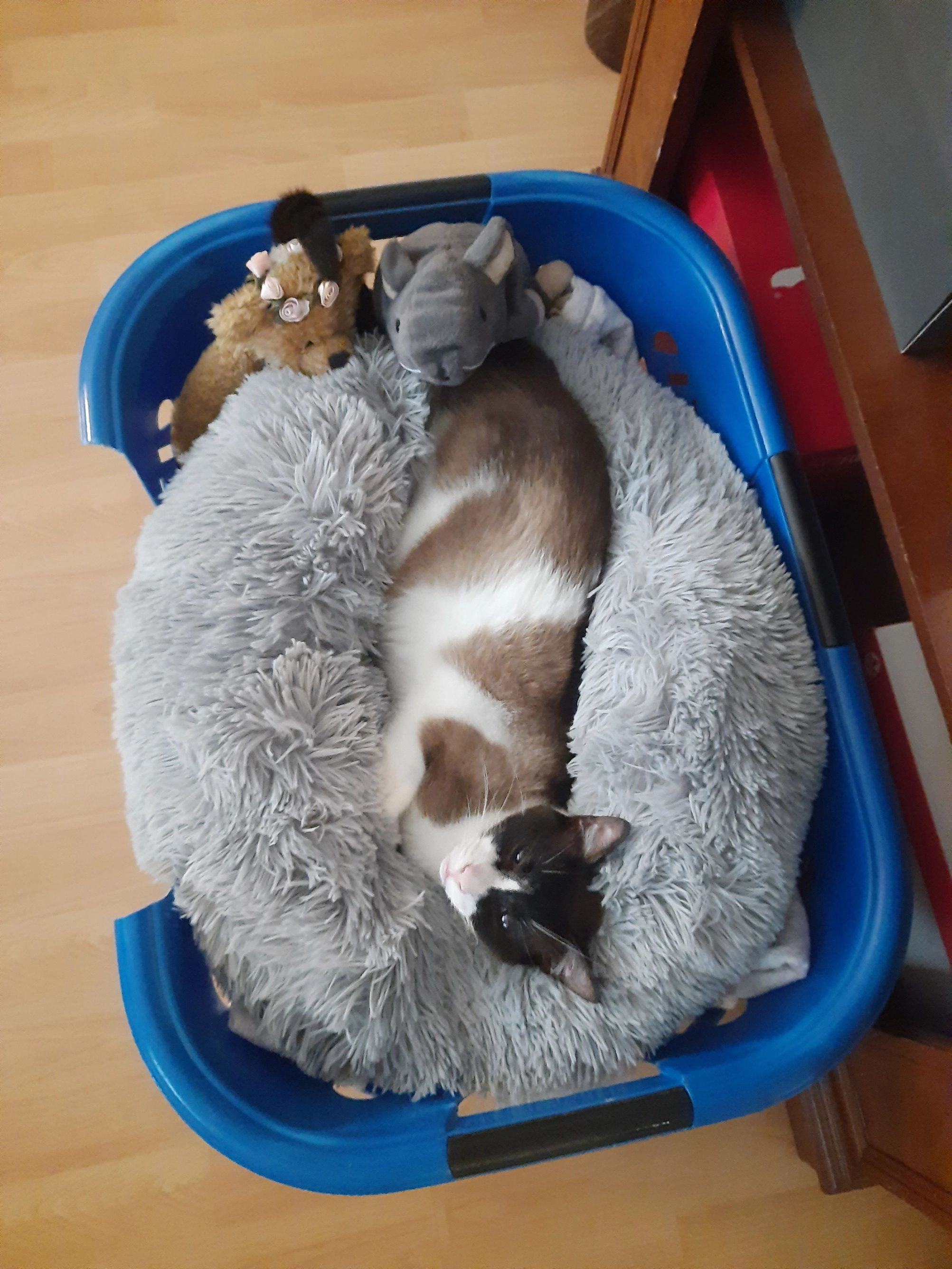 Miko - Melau, Hollern-Twielenfleth