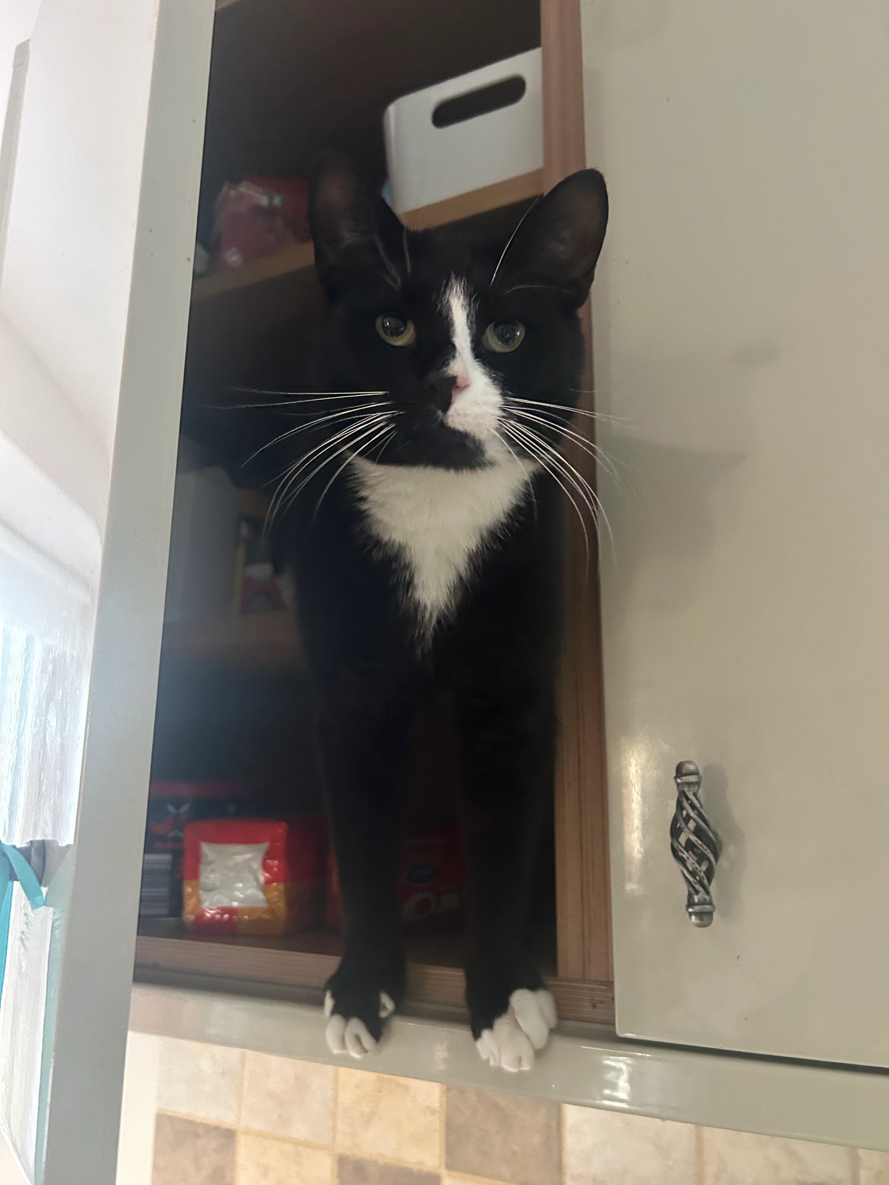 Jasper - Hill View, Montgomery