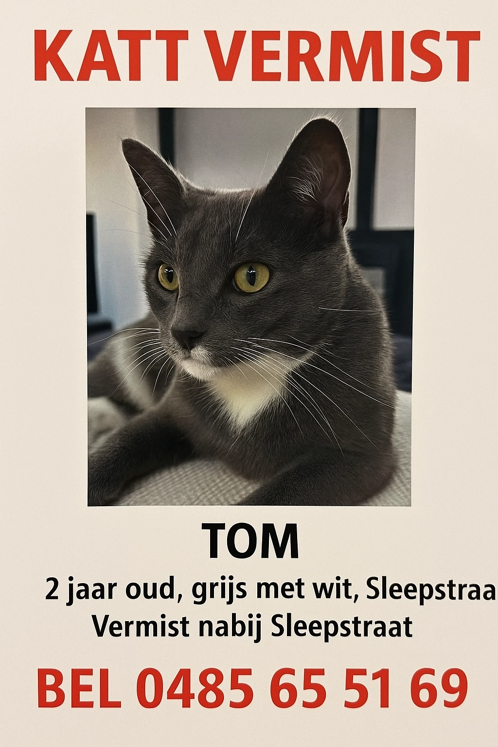 2 jaar oud. Wit en grij - Sleepstraat, Gent