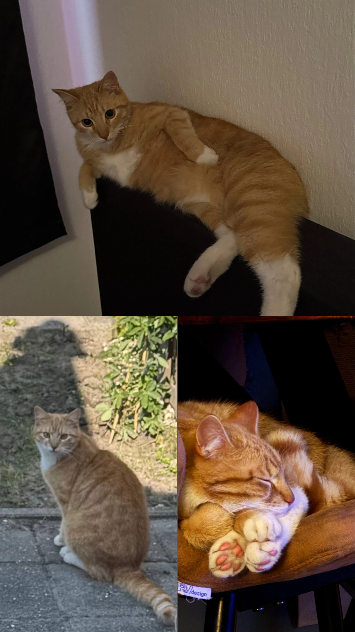 Willem - Graaf Willemstraat, Grootebroek