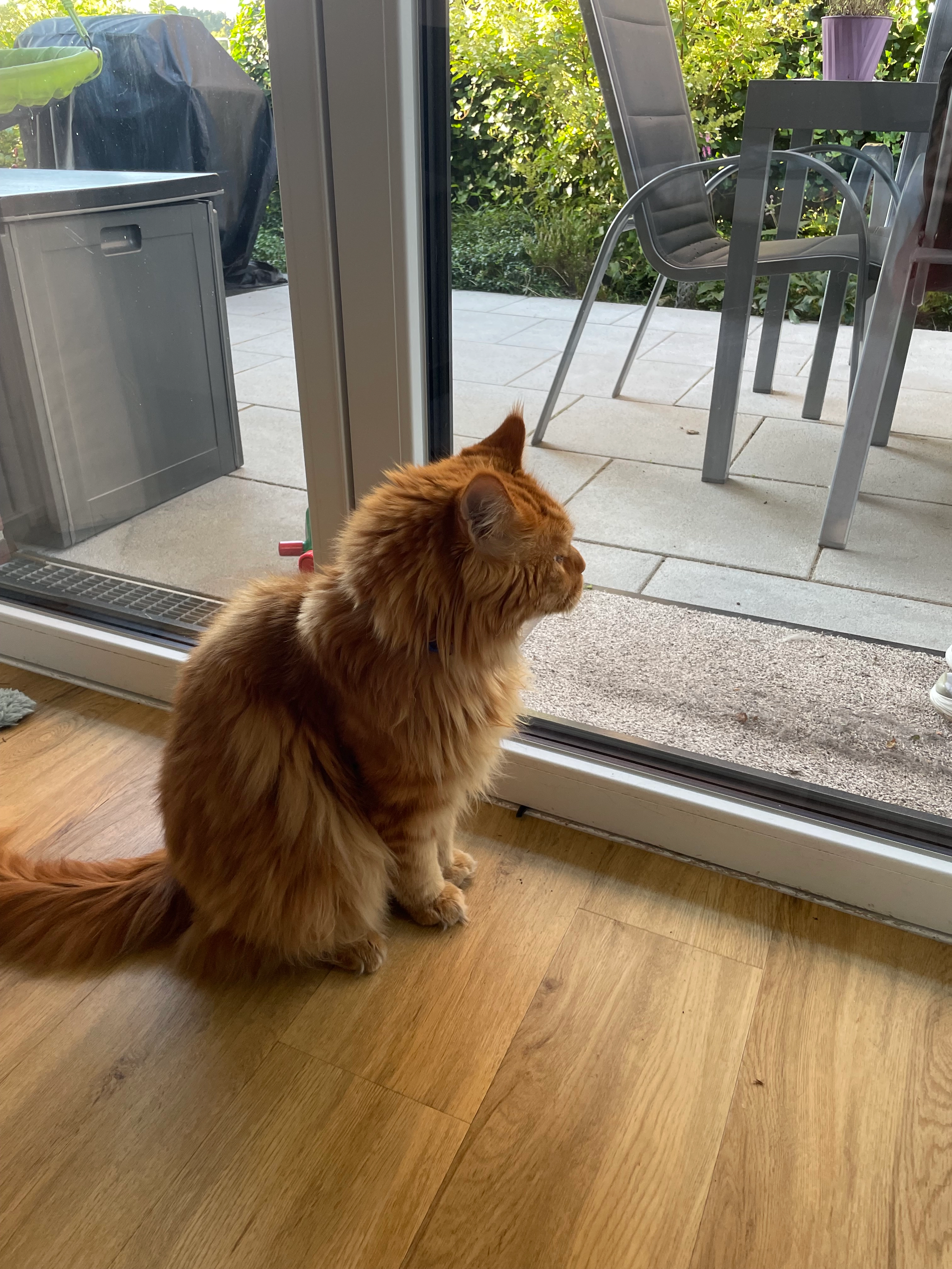 Ludwig - Michael-Ende-Weg, Bargteheide