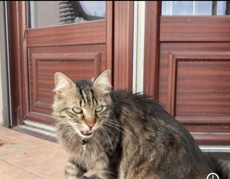 Pilou - 22 Avenue du Maréchal Franchet d'Esperey, Albi