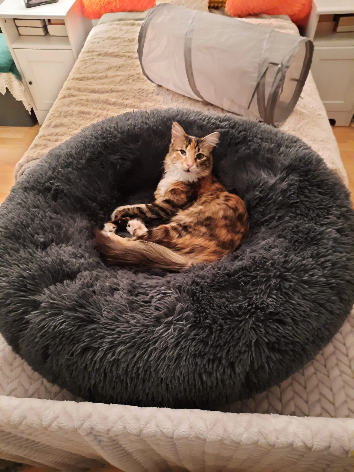 Kiki - Im Wiesengrund , Weilrod-Riedelbach