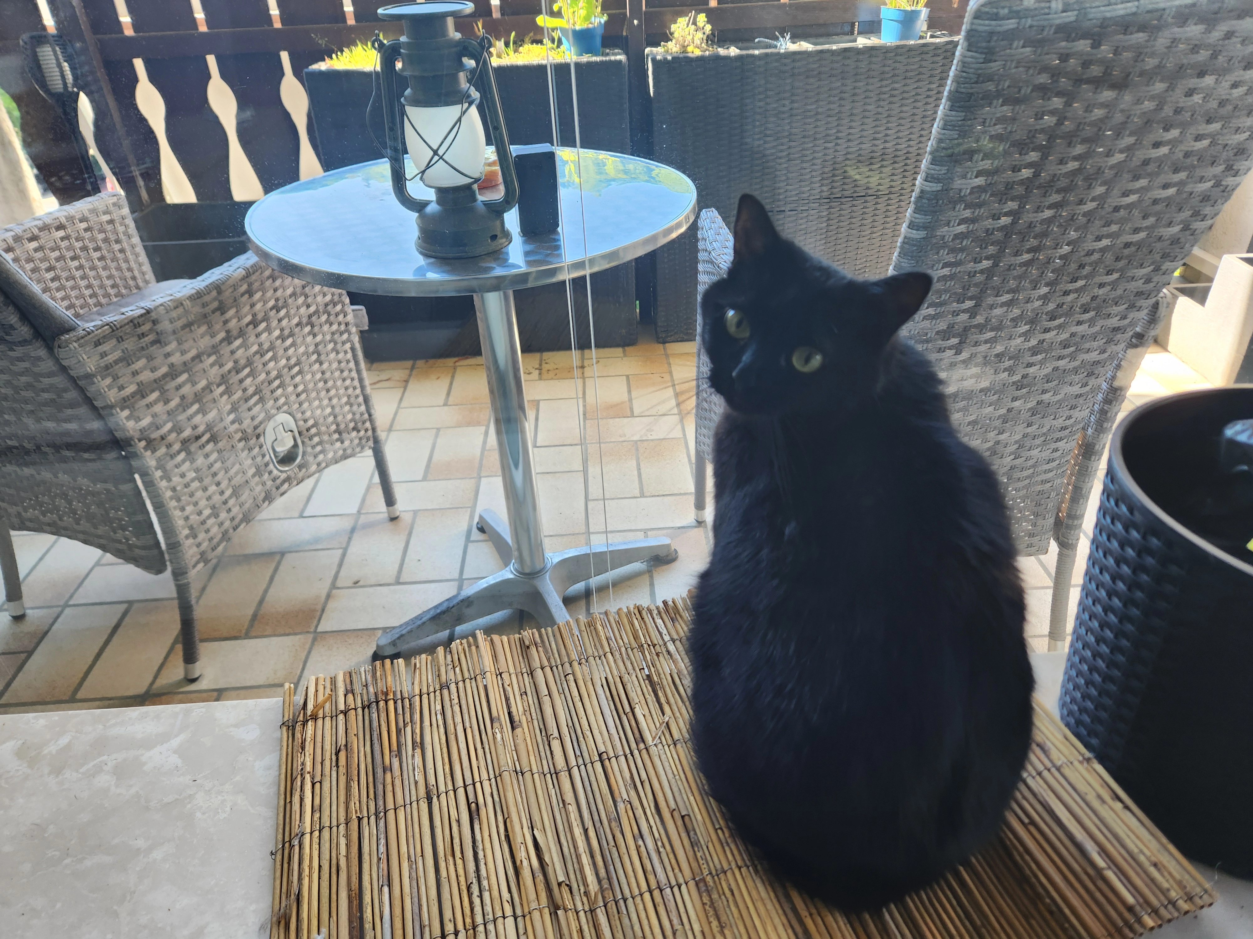 Luna - Untere Hilsstraße 3a, Grünenplan