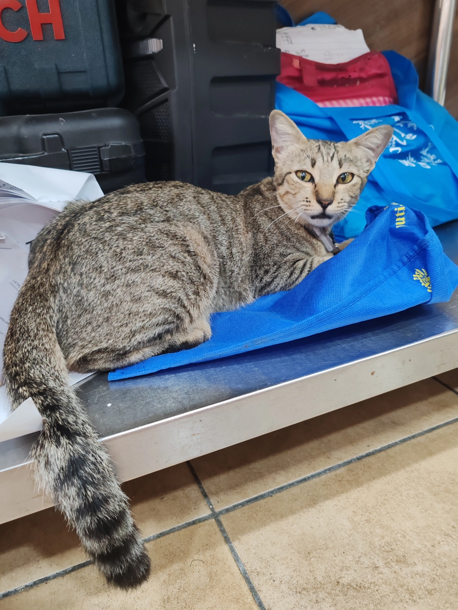 Ruyi - Jalan Taman Cherng Shiang Garden, Seremban