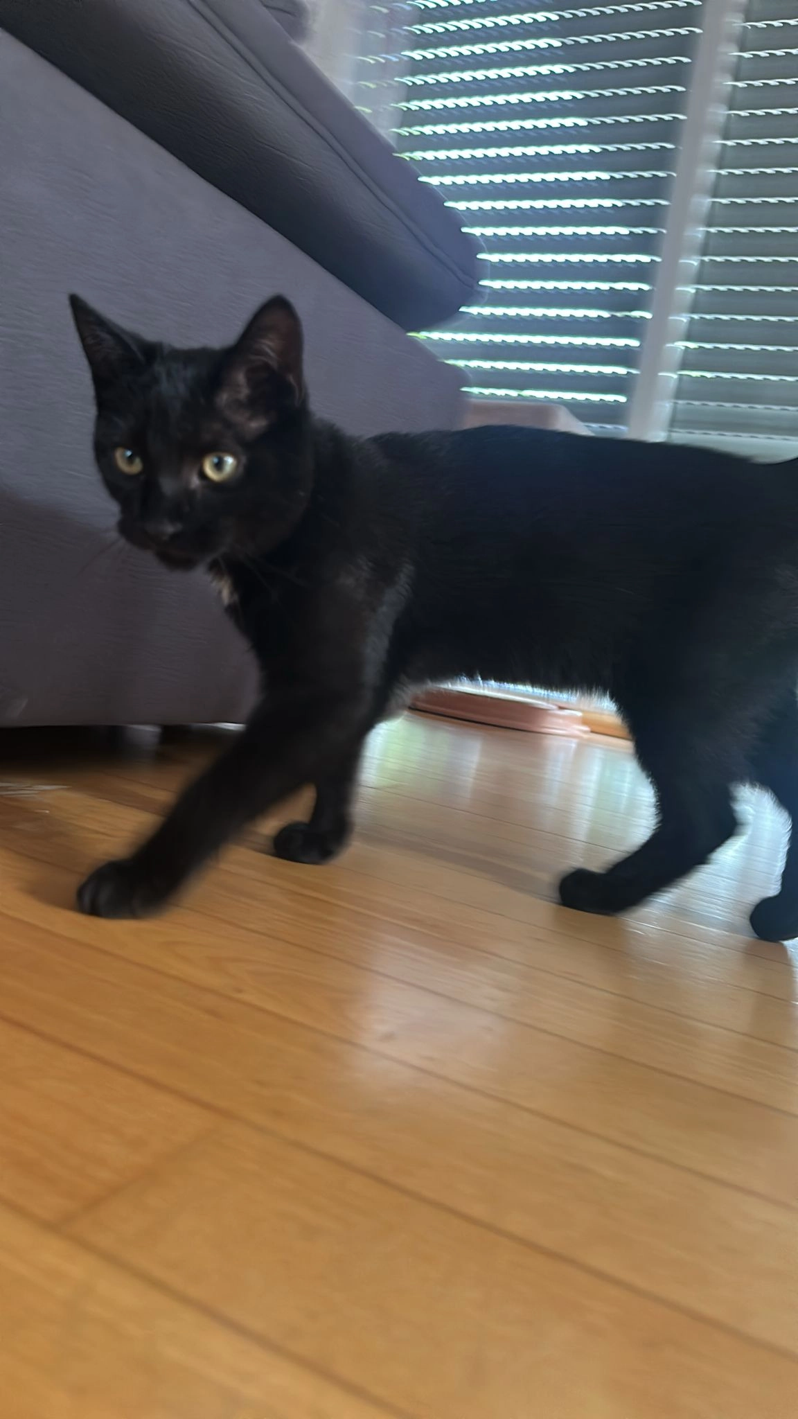 Lou - Wendelin-Nufer-Straße, Hechingen