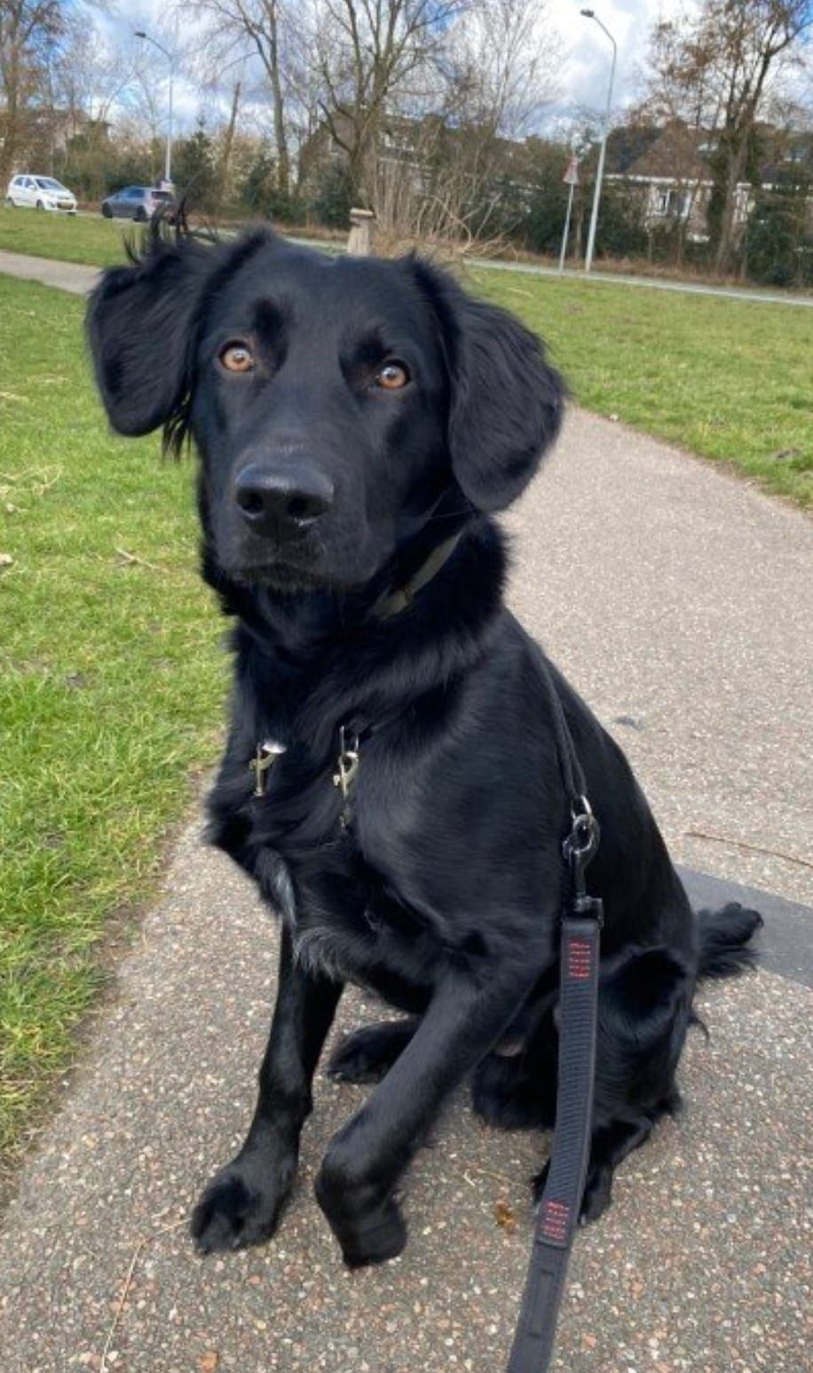 Bo - Teding Van Berkhoutstraat, Haarlem