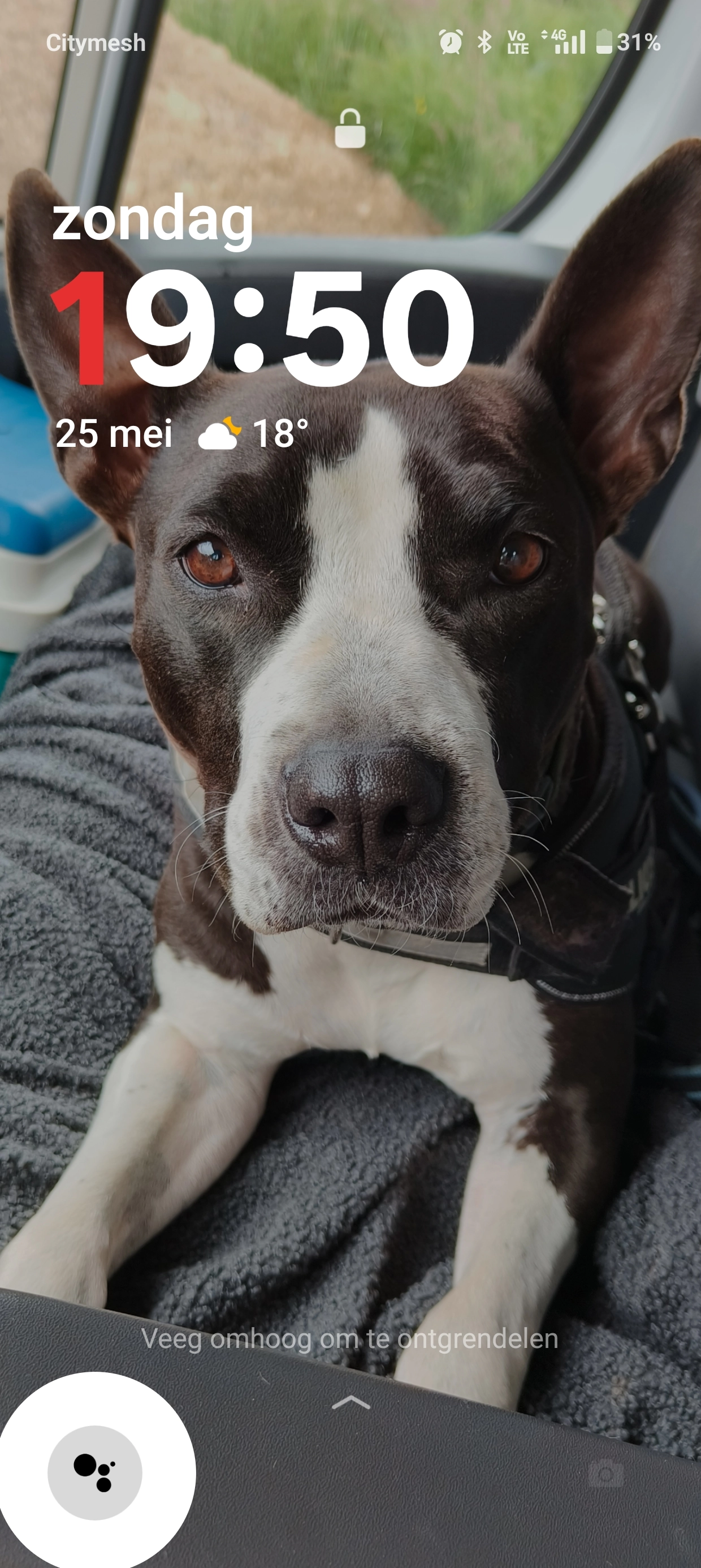 Luna - Harzy, Bastenaken