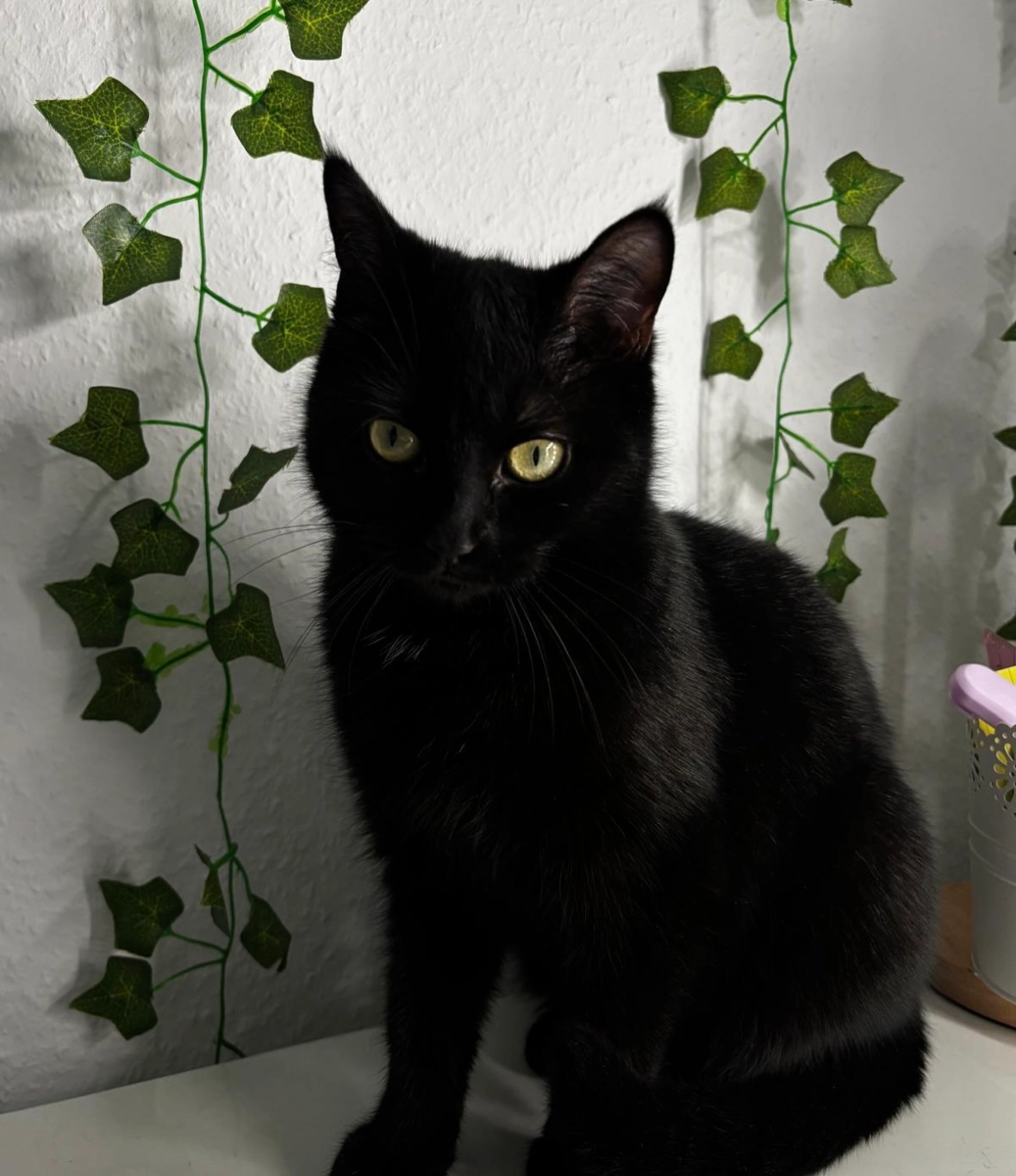 Coco - Von-Goer-Straße, Aldenhoven