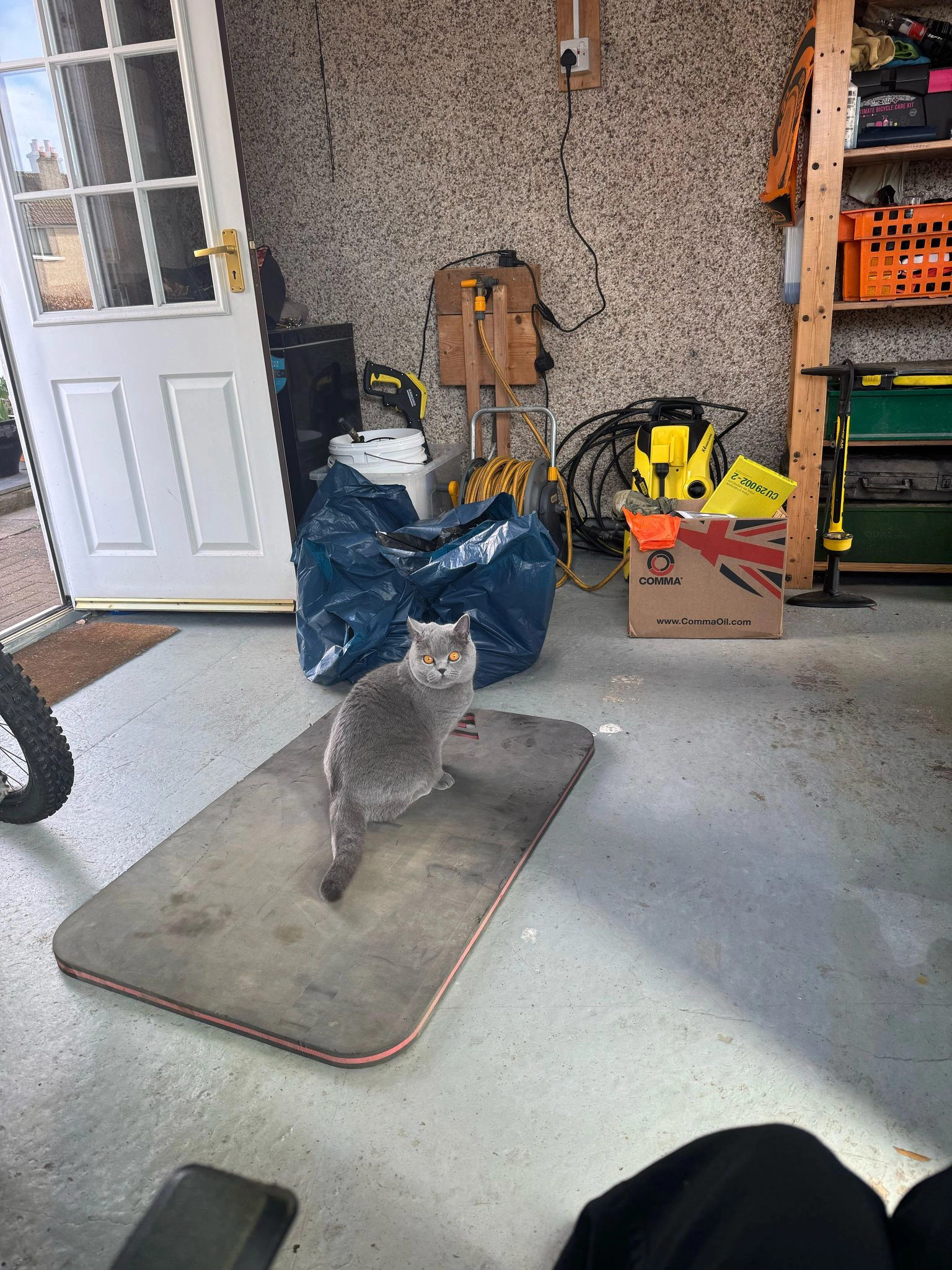 Nala - Cockburn Crescent, Whitecross