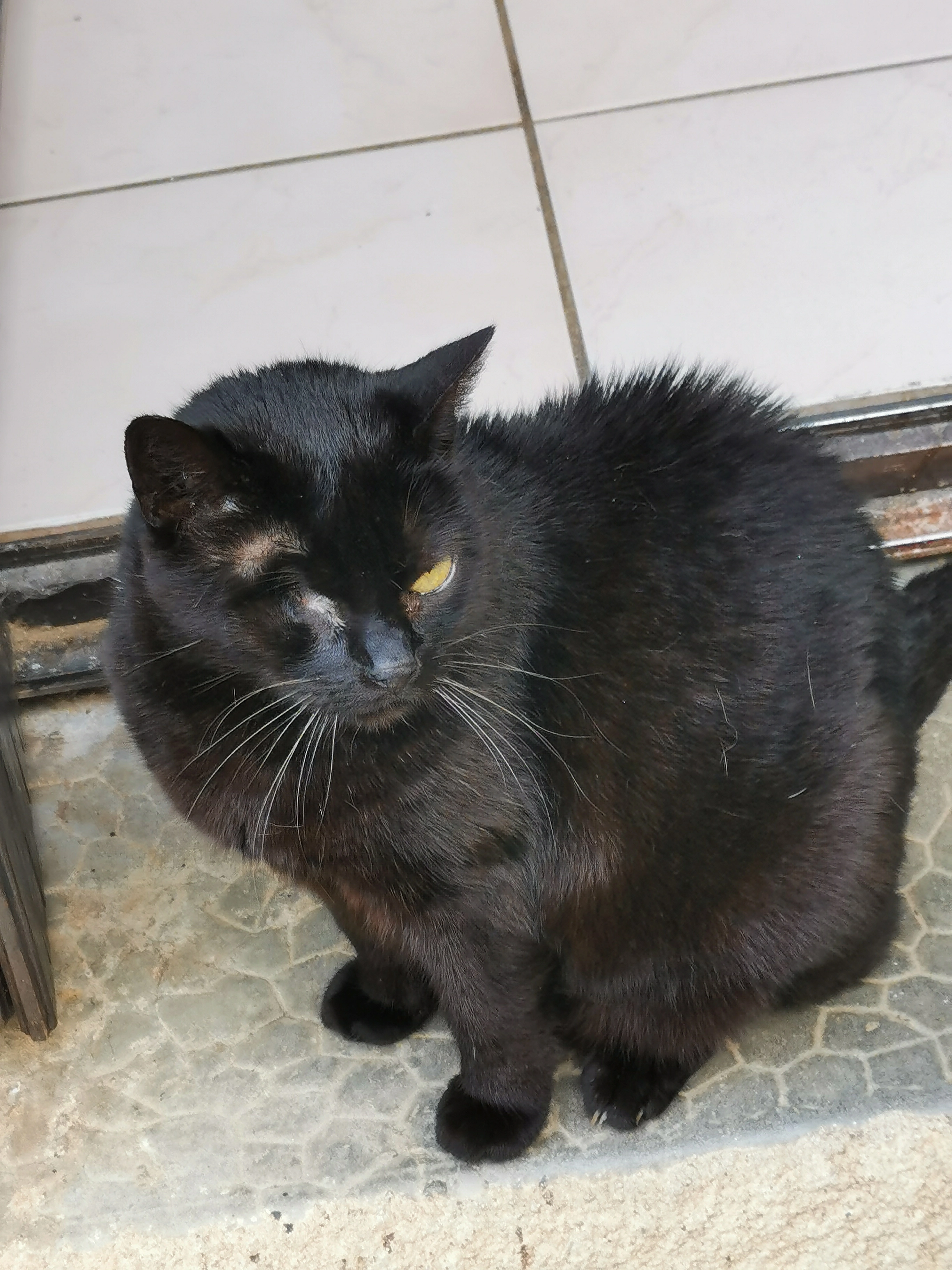 KIKI - Rue Des Peupliers, Eybens