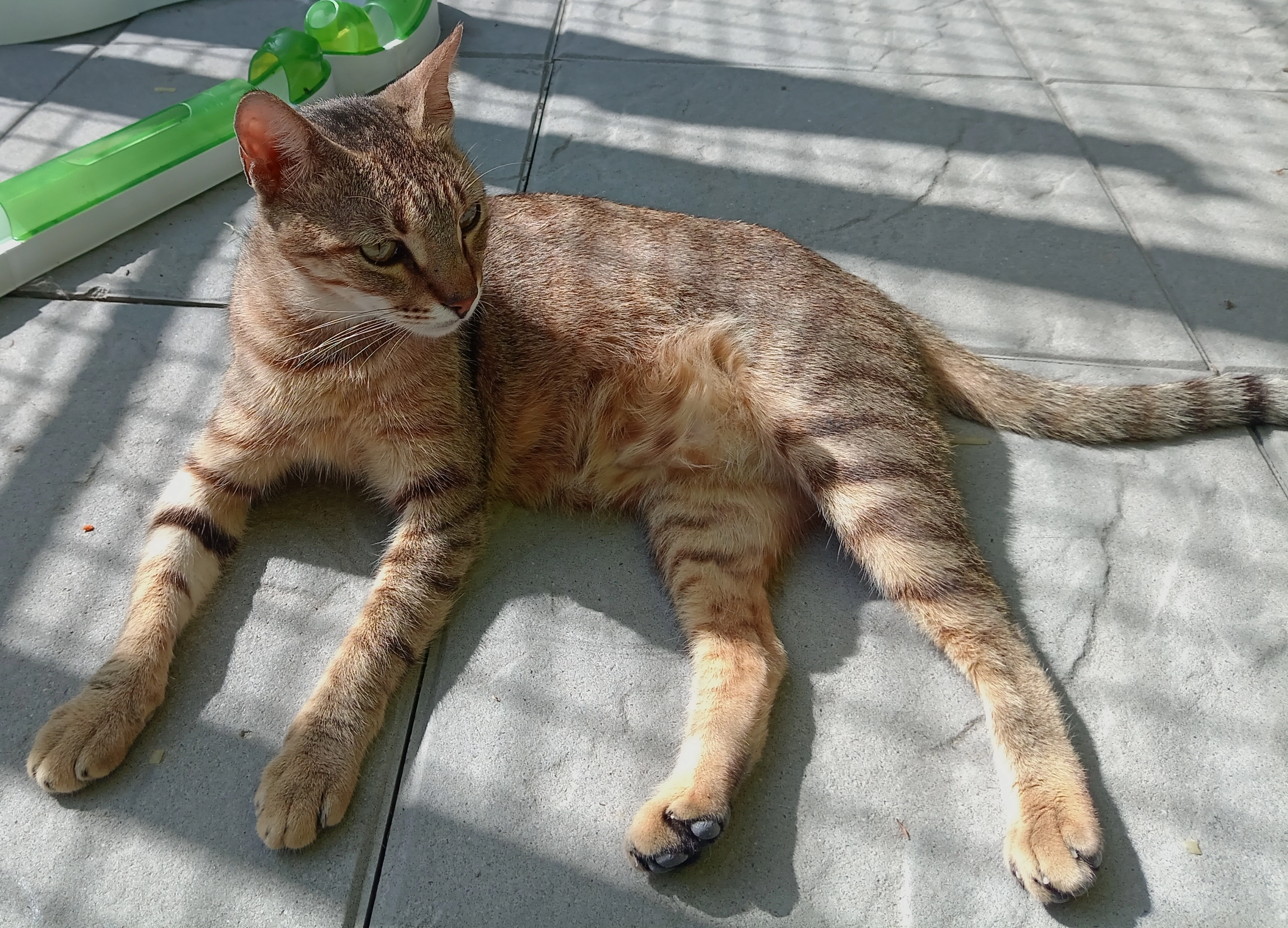 Vasko - Rue de la Camargue, Saint-Herblain