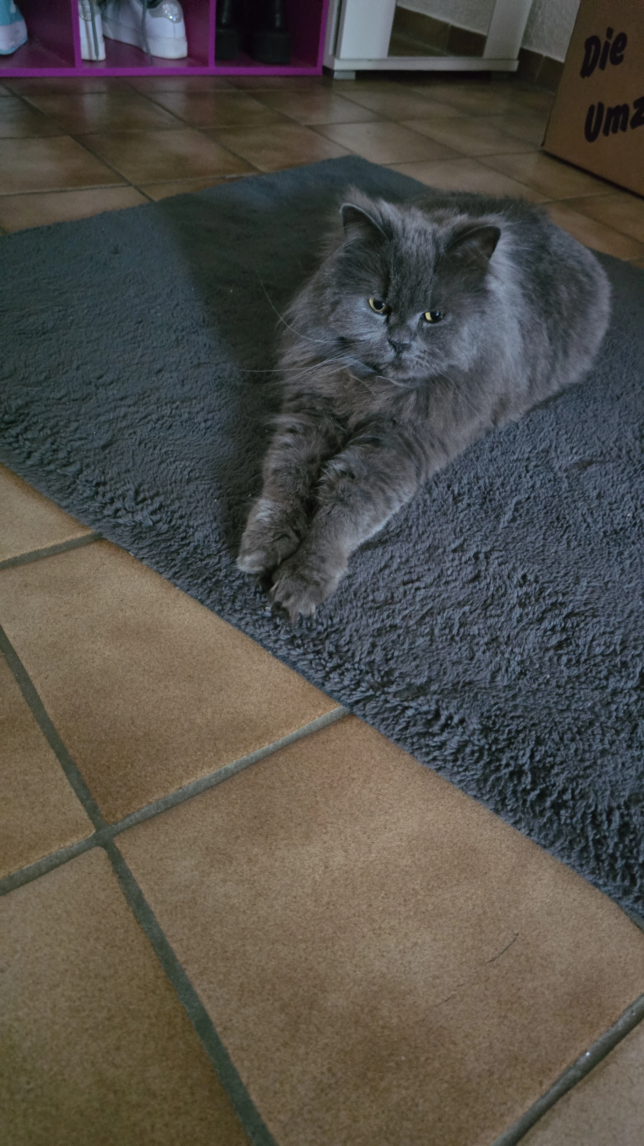 Fini - Weinheimer Landstraße, Alzey