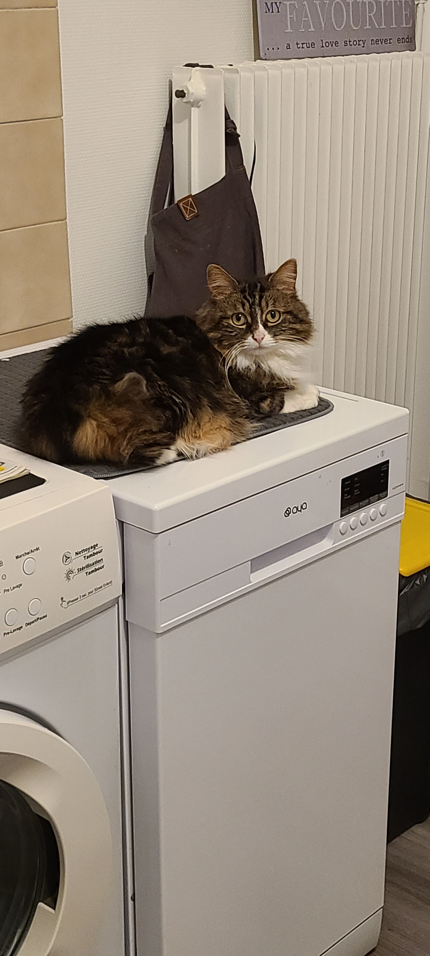 Nawa - Avenue Du Stade Municipal, Lons-le-Saunier